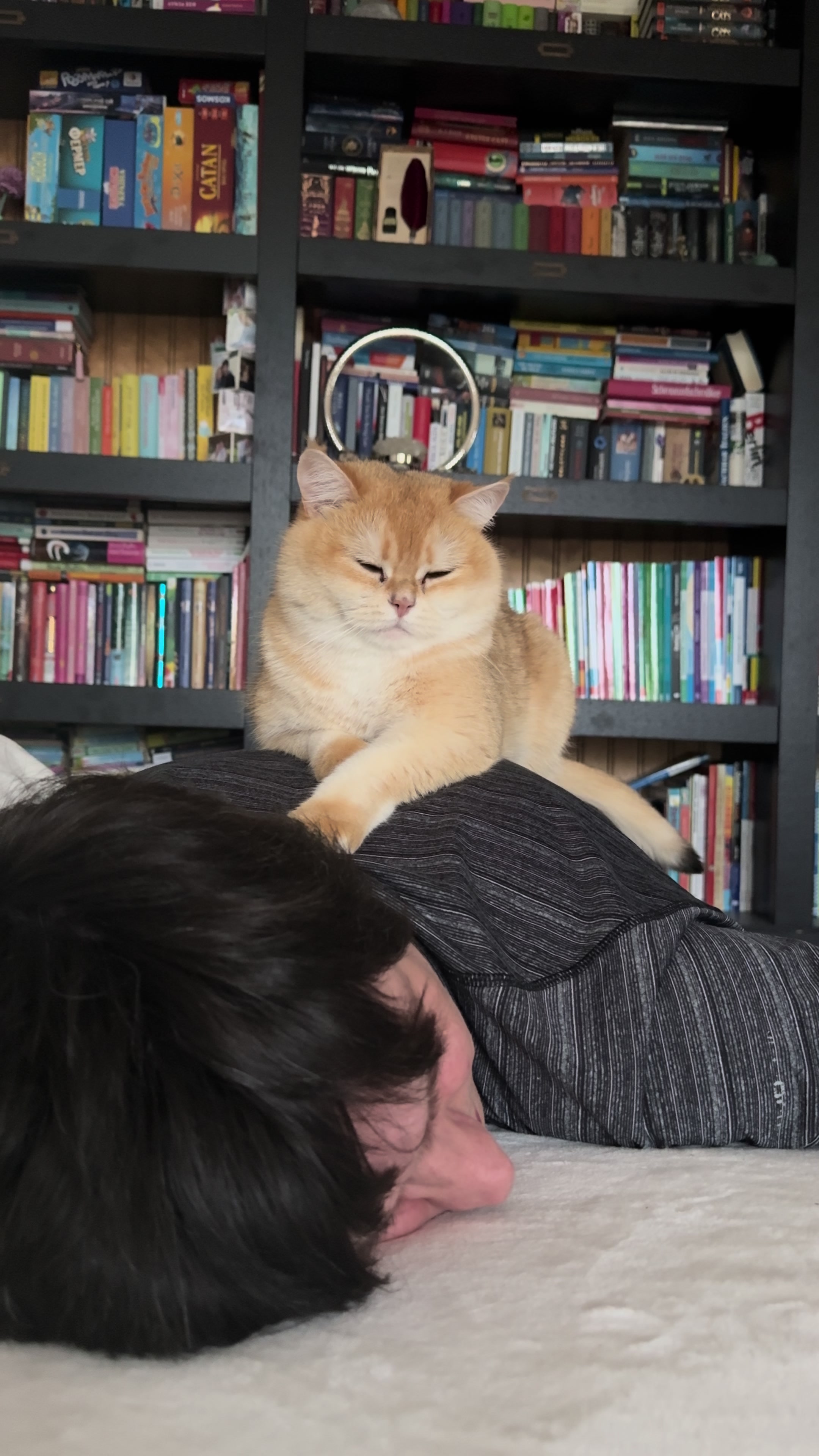 @Sammie_the_Cat
