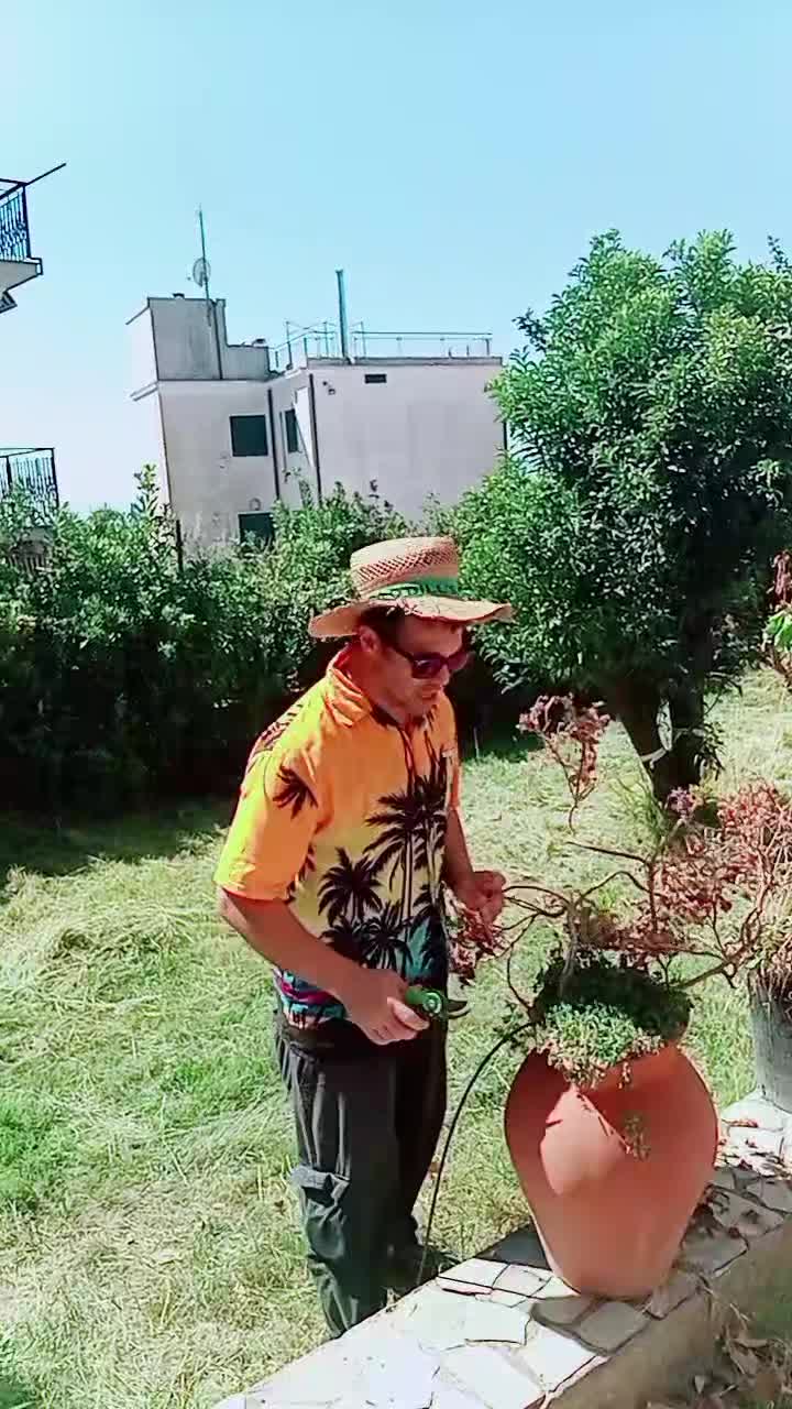 @Il giardiniere felice
