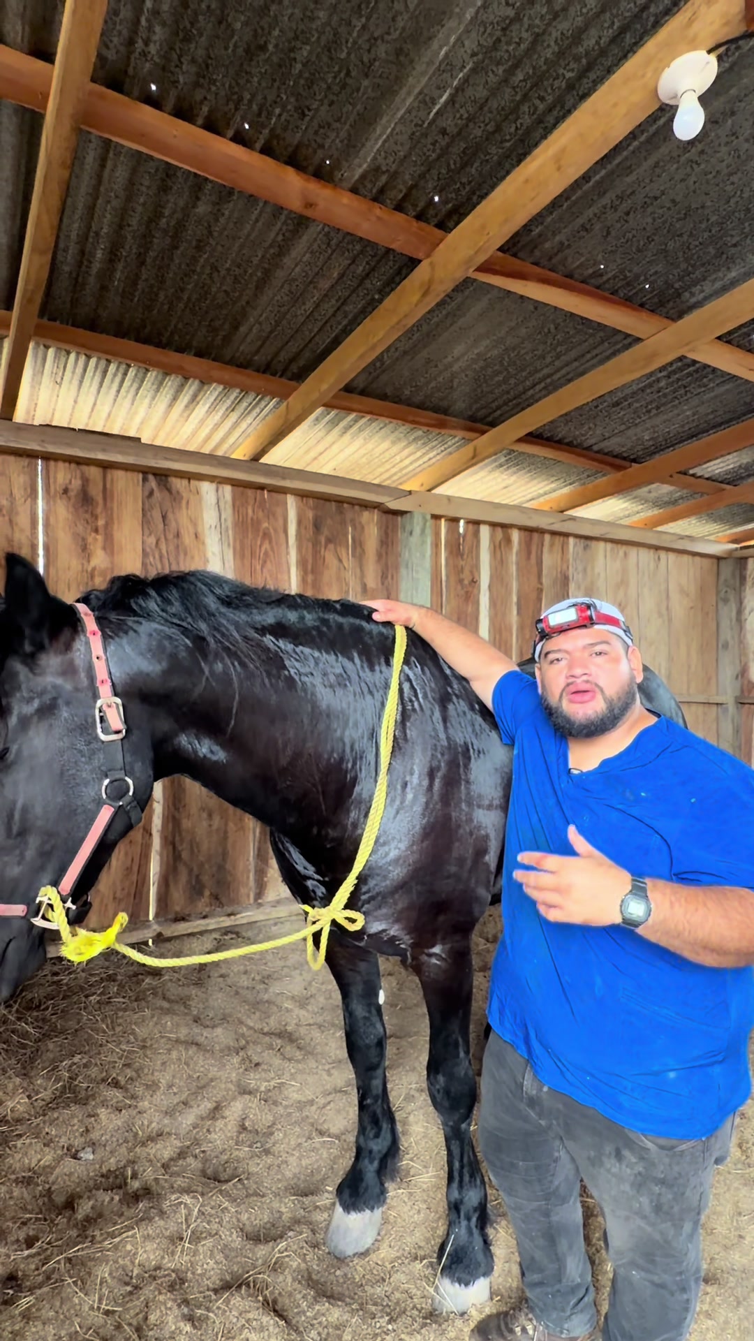 @equinovetnicaragua