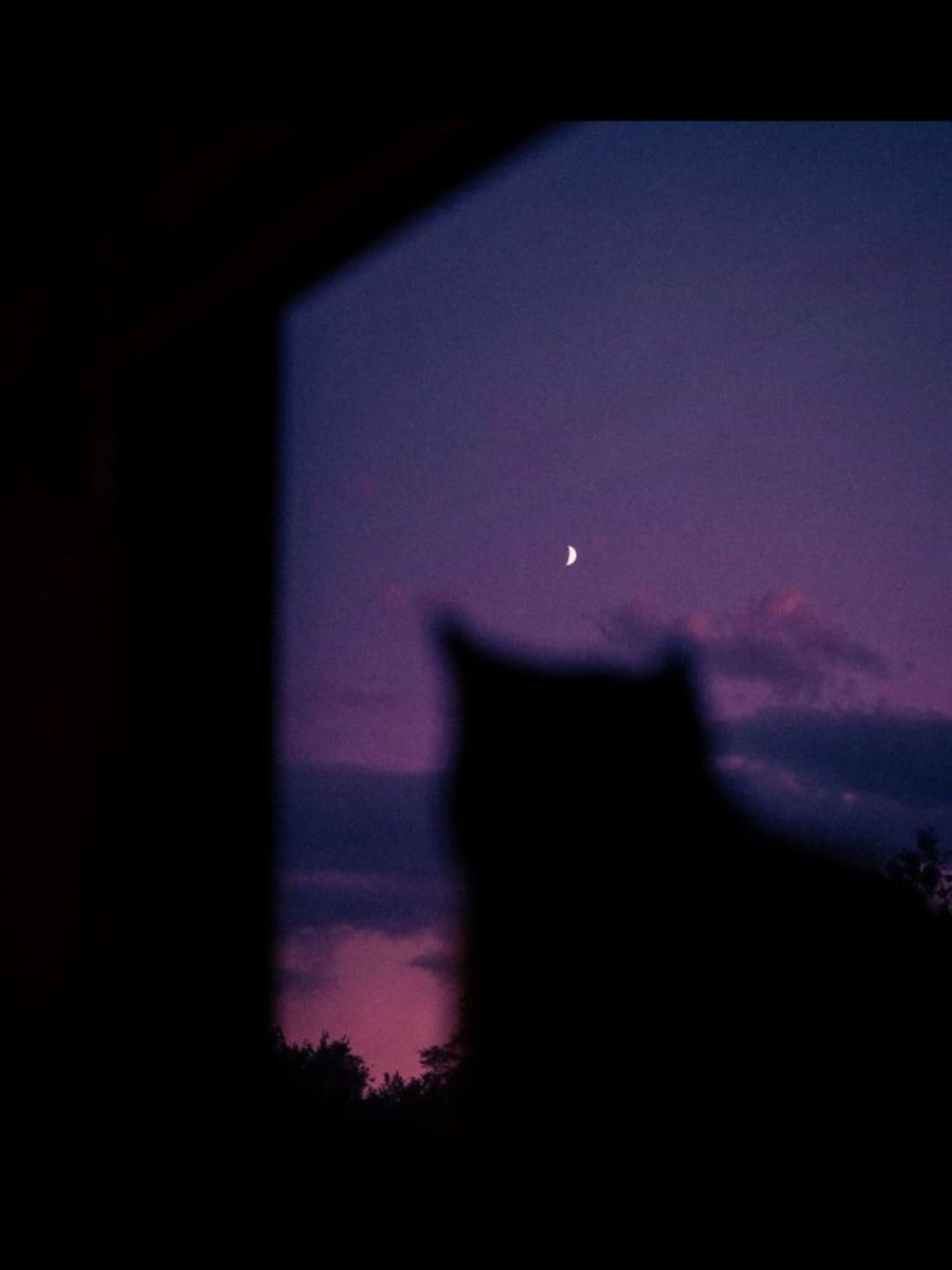 @𝓜𝓪𝓷𝓾.