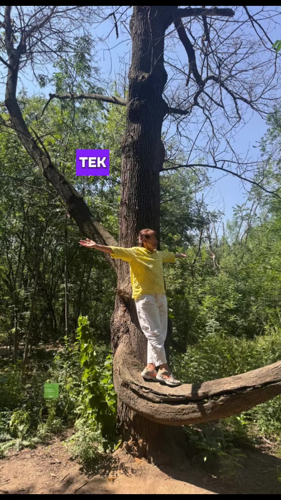 @Р.И.М