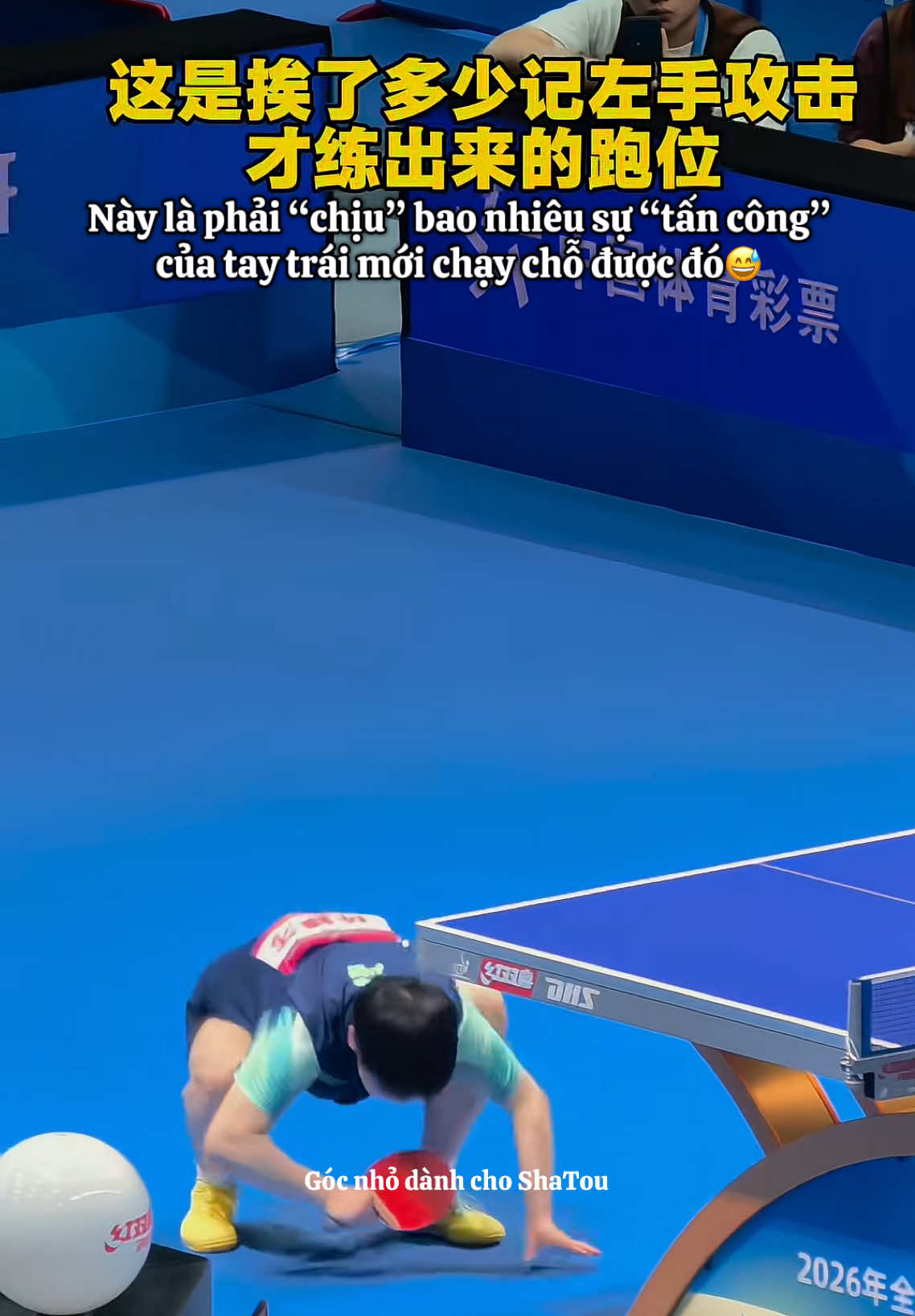 @Góc nhỏ dành cho ShaTou🦁🦈❤️