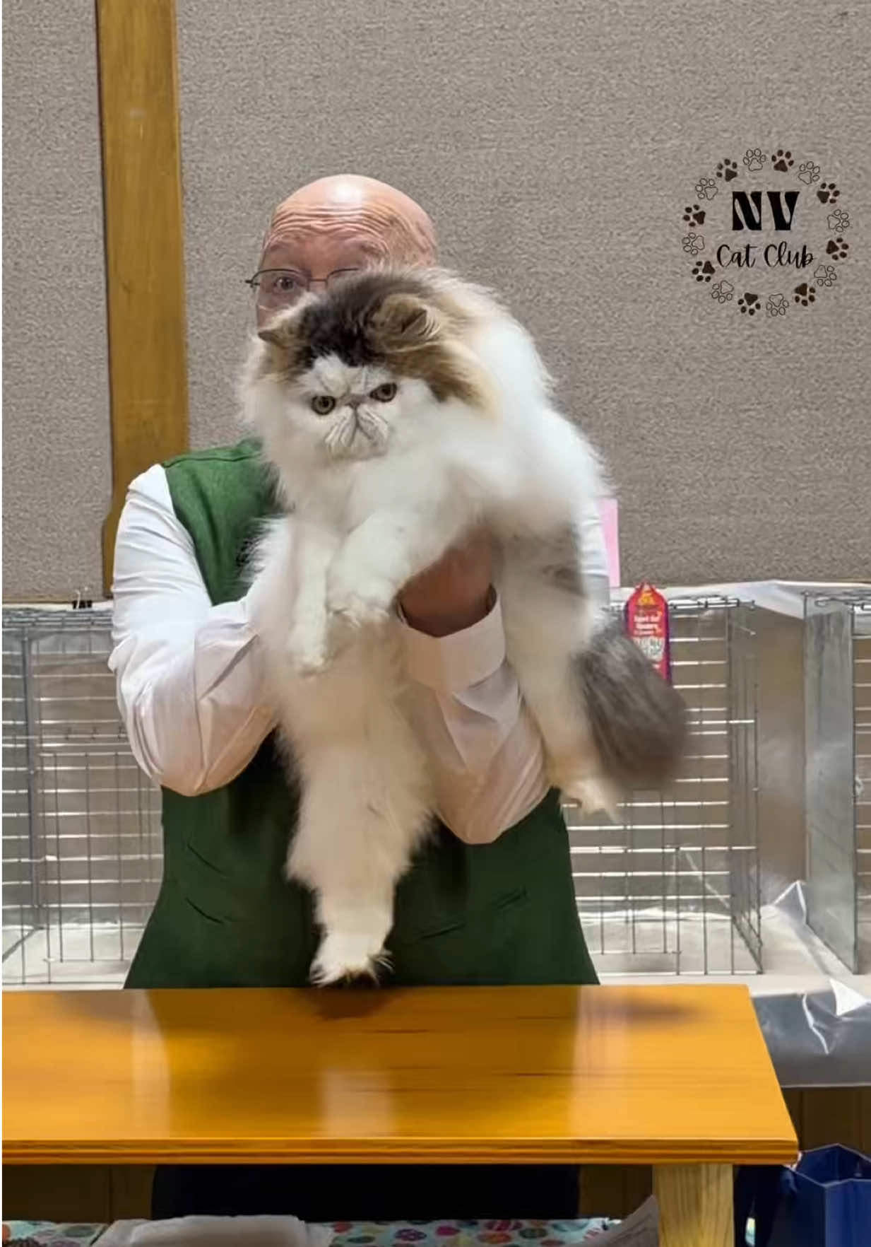 @NewVisionCatClub