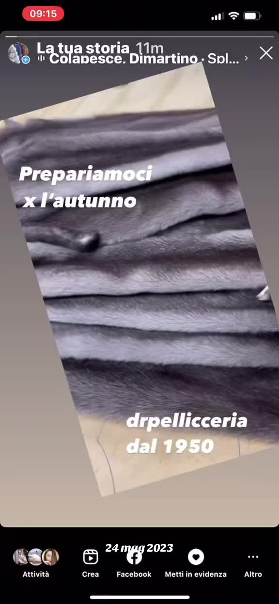 @PELLICCERIA DEROSA