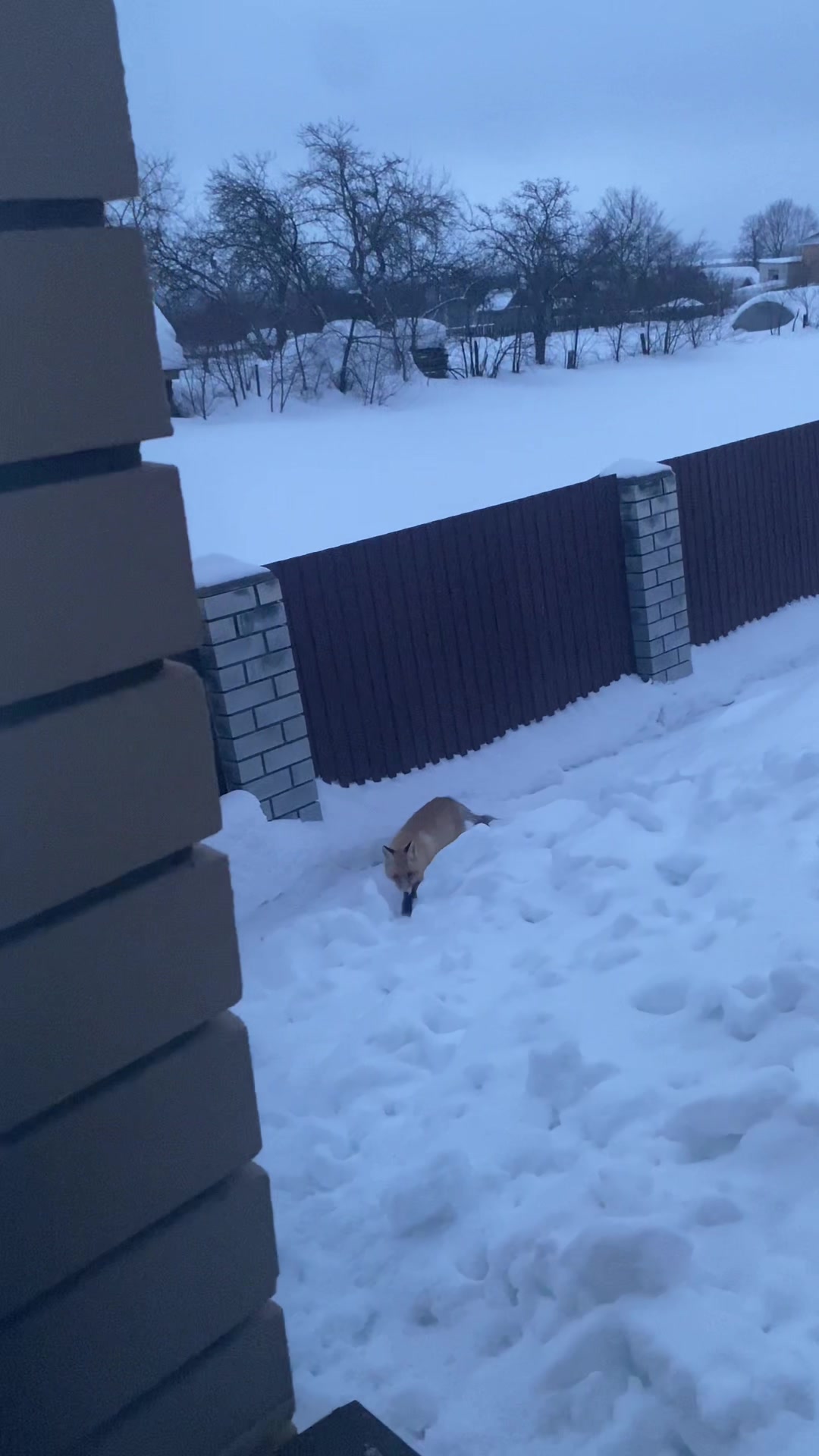 @Спиридонов Андрей