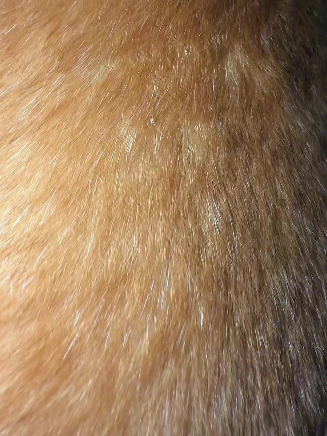 @Chrisrincon76