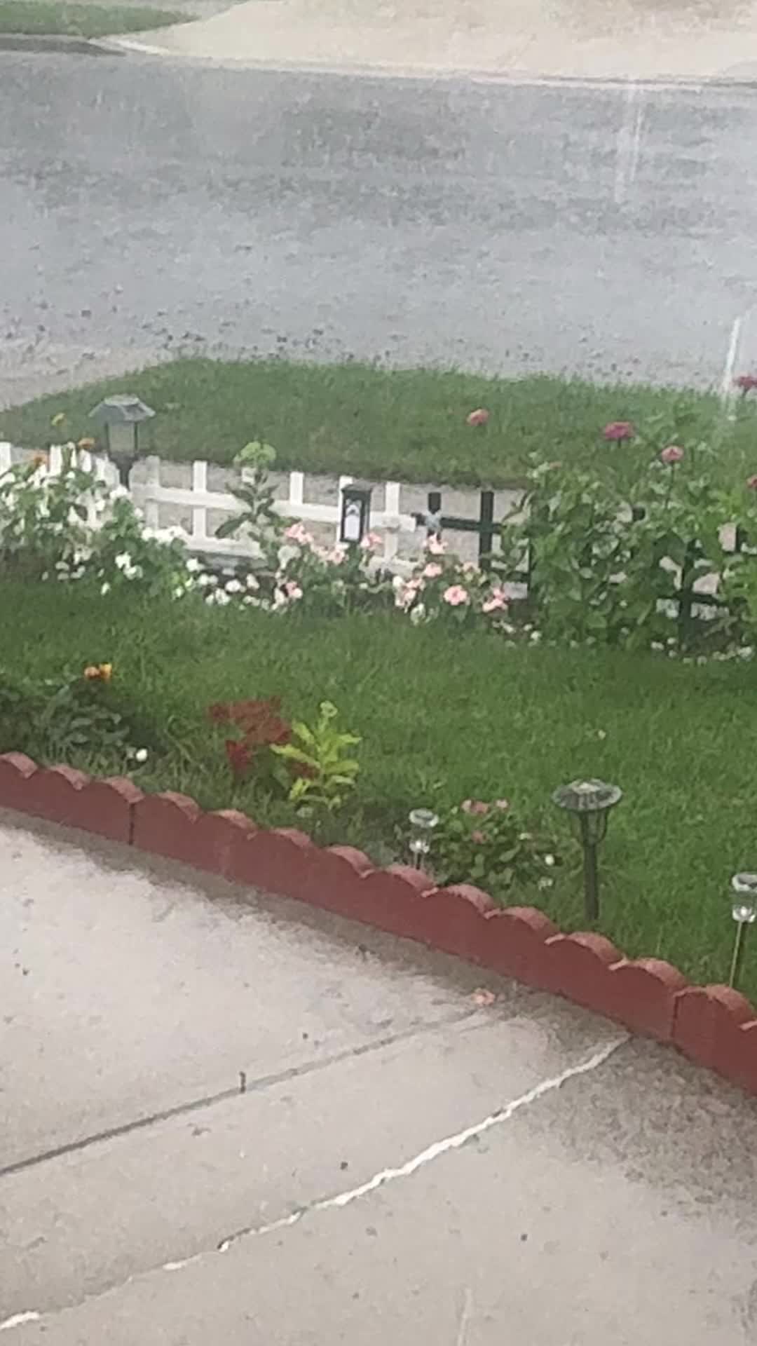 @Komal