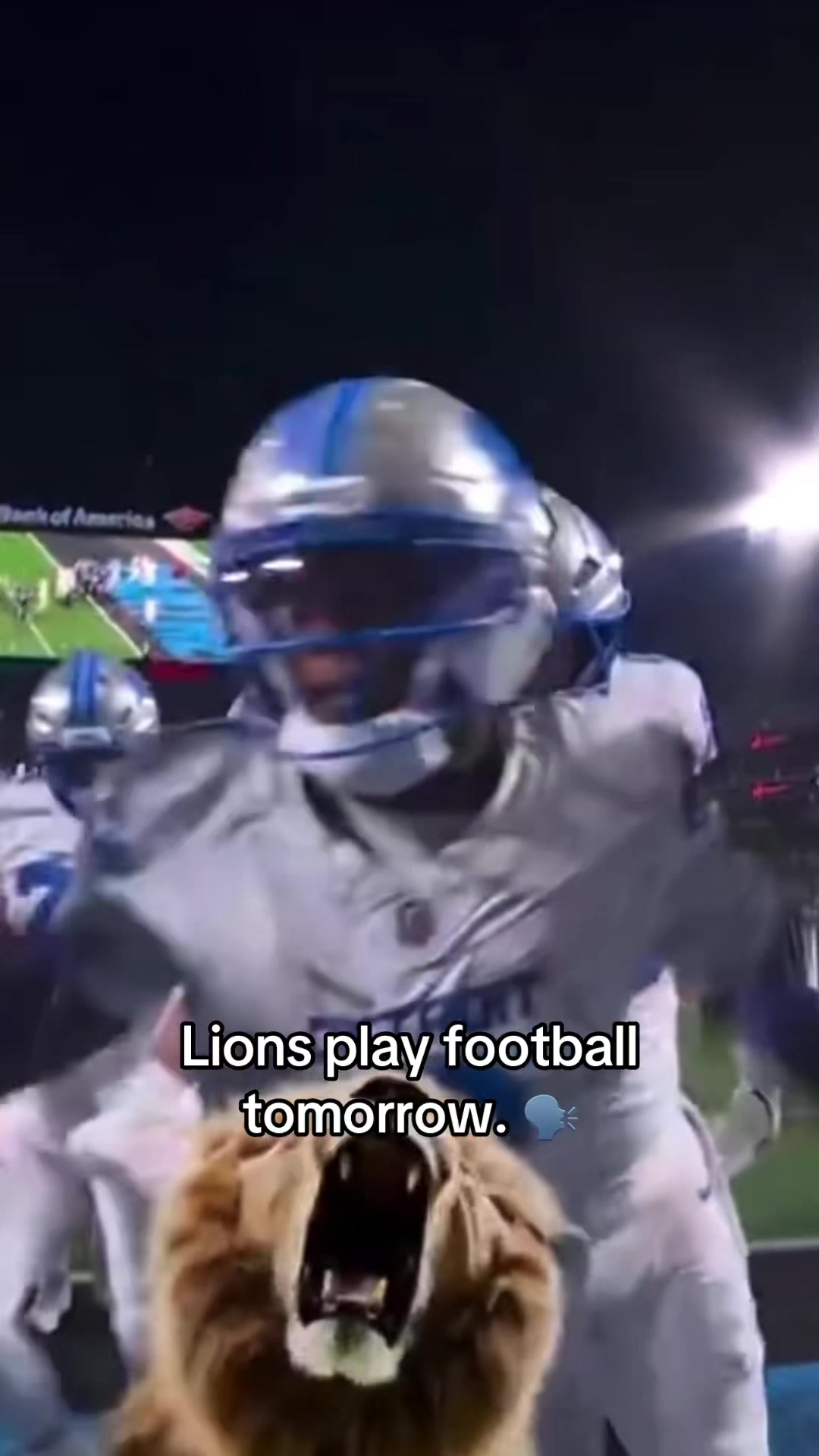 @Detroit Lions