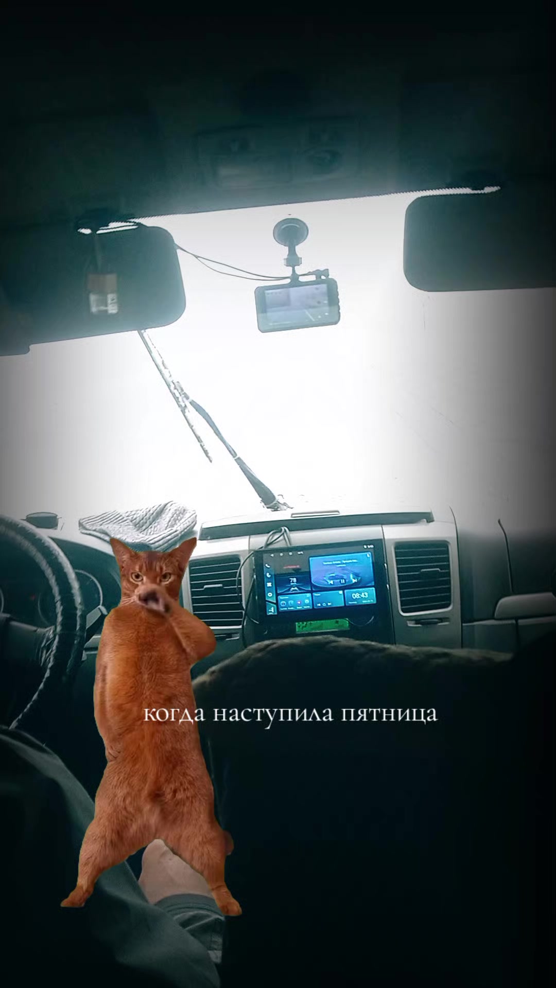 @сибиряк 38🇷🇺