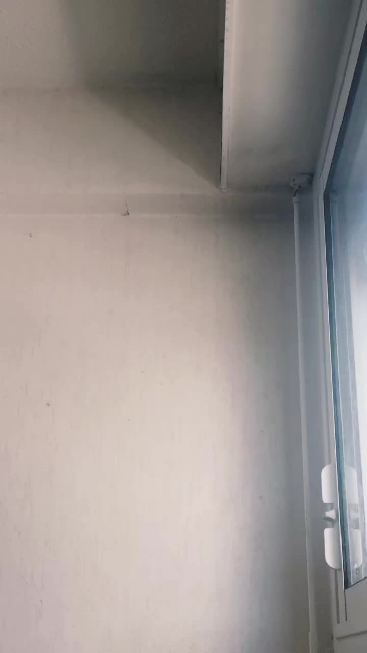@𝔍𝔬𝔣𝔬𝔵𝔶^^🦊
