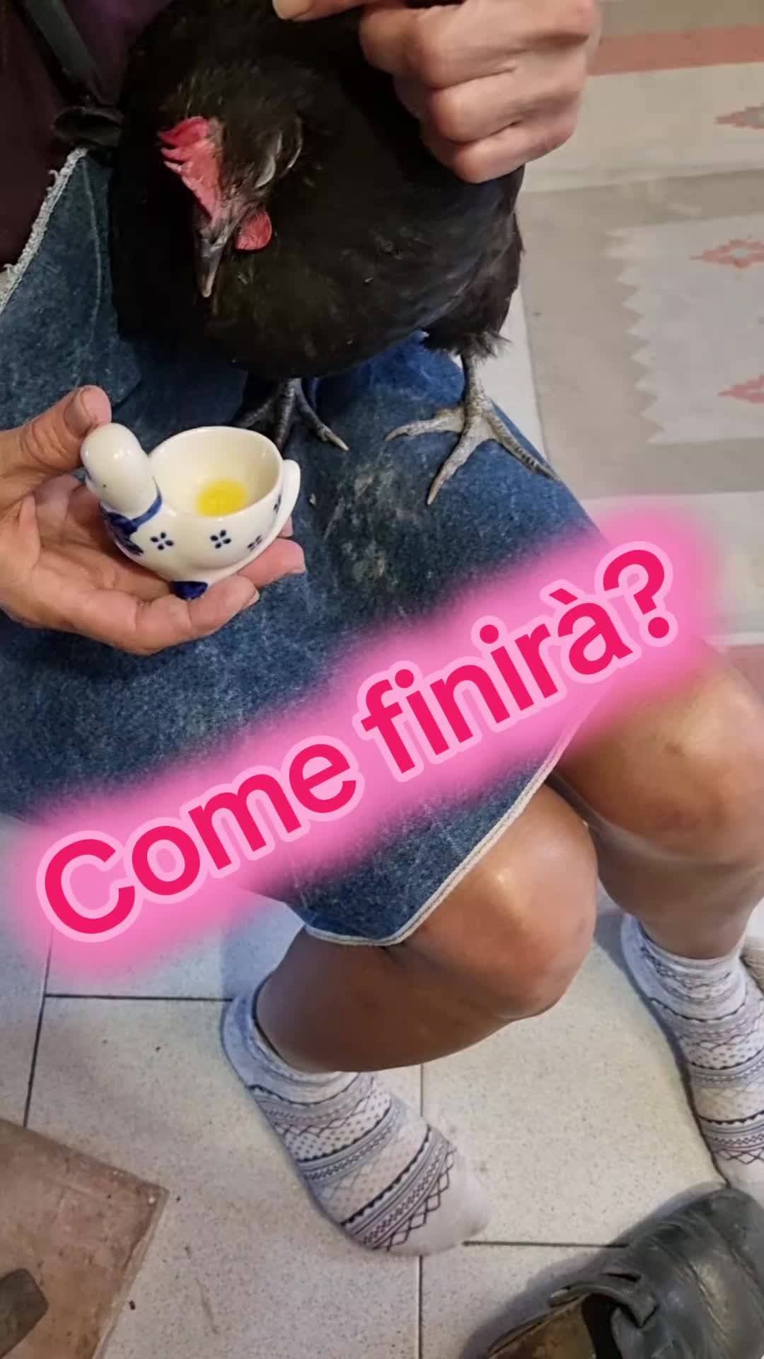 @Il leone e la gallina