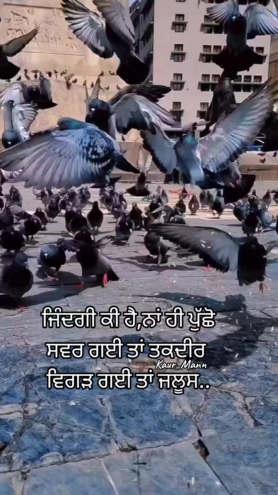 @𝕂𝕒𝕦𝕣 𝕄𝕒𝕟𝕟