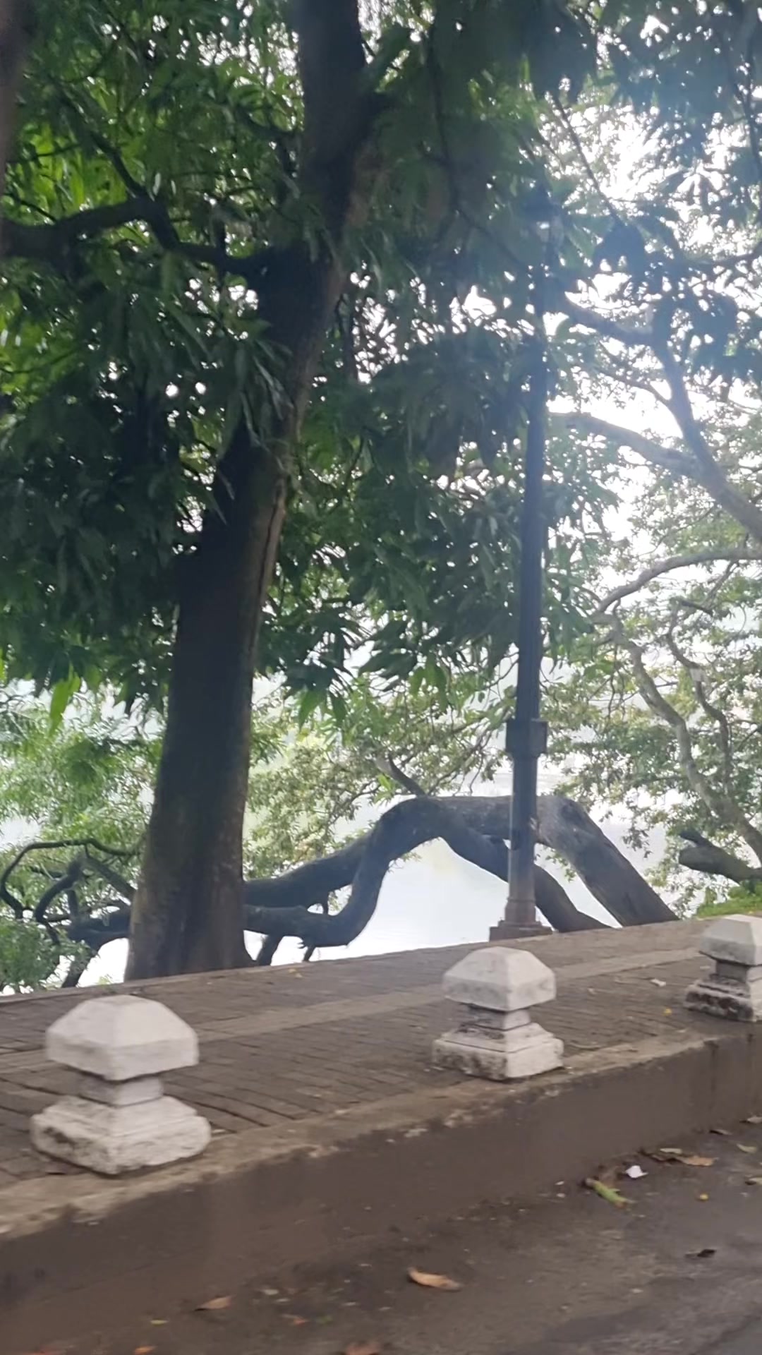 @Uthpala Ekanayake