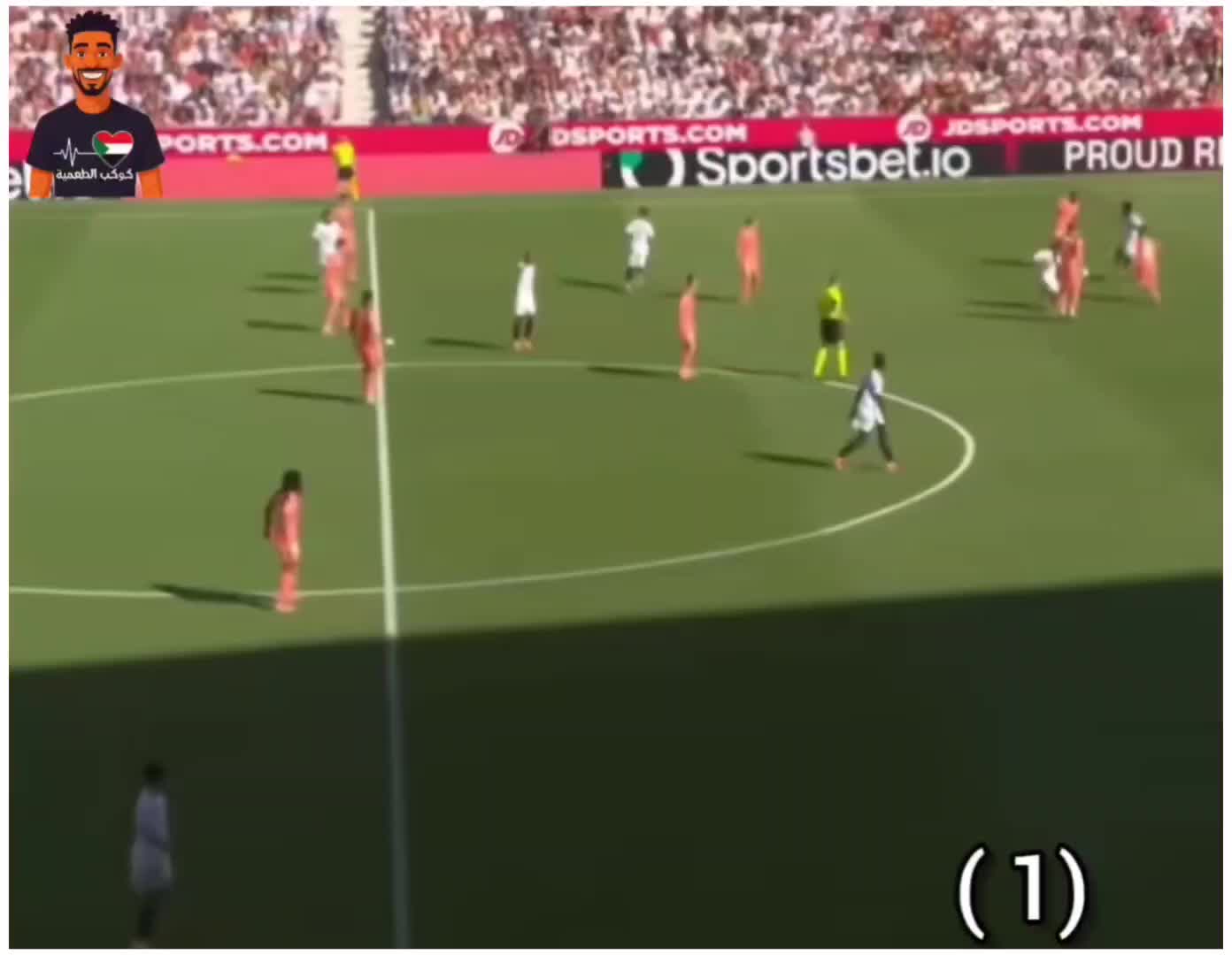 @كوكب الطعمية