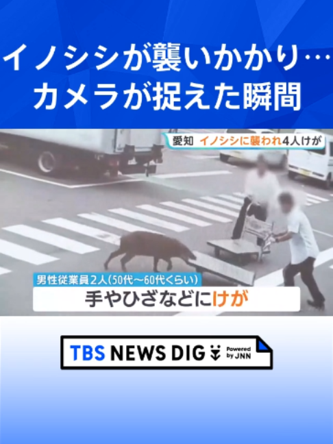 @TBS NEWS DIG Powered by JNN