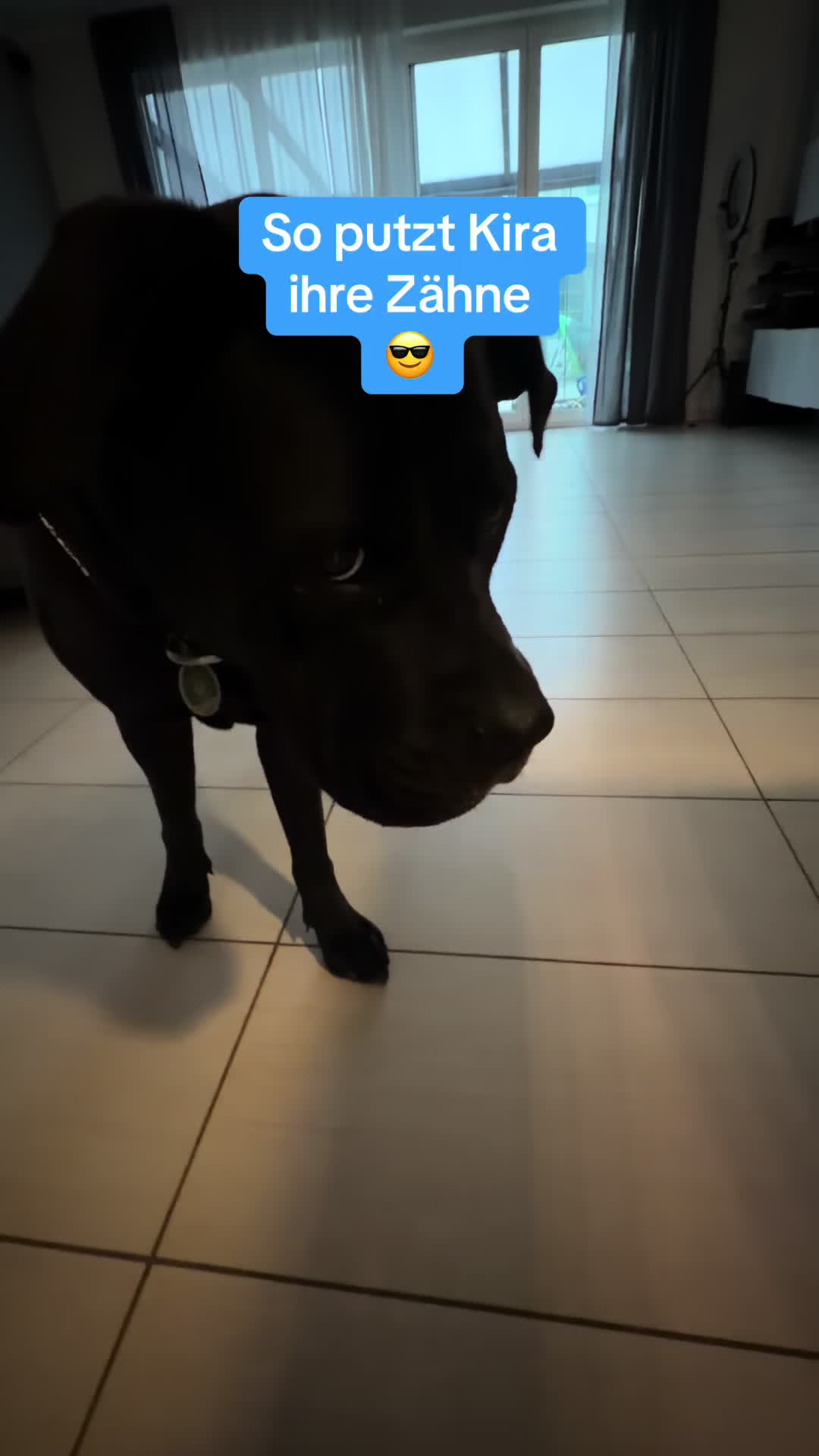@Braunici
