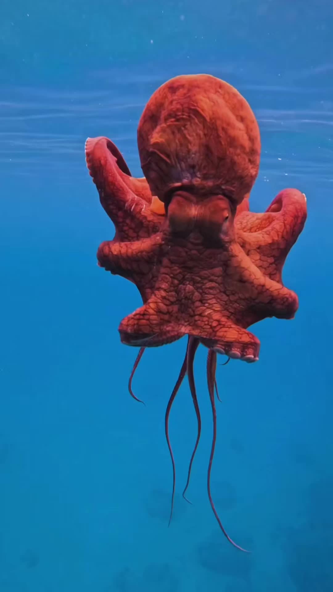 @💫NM💫