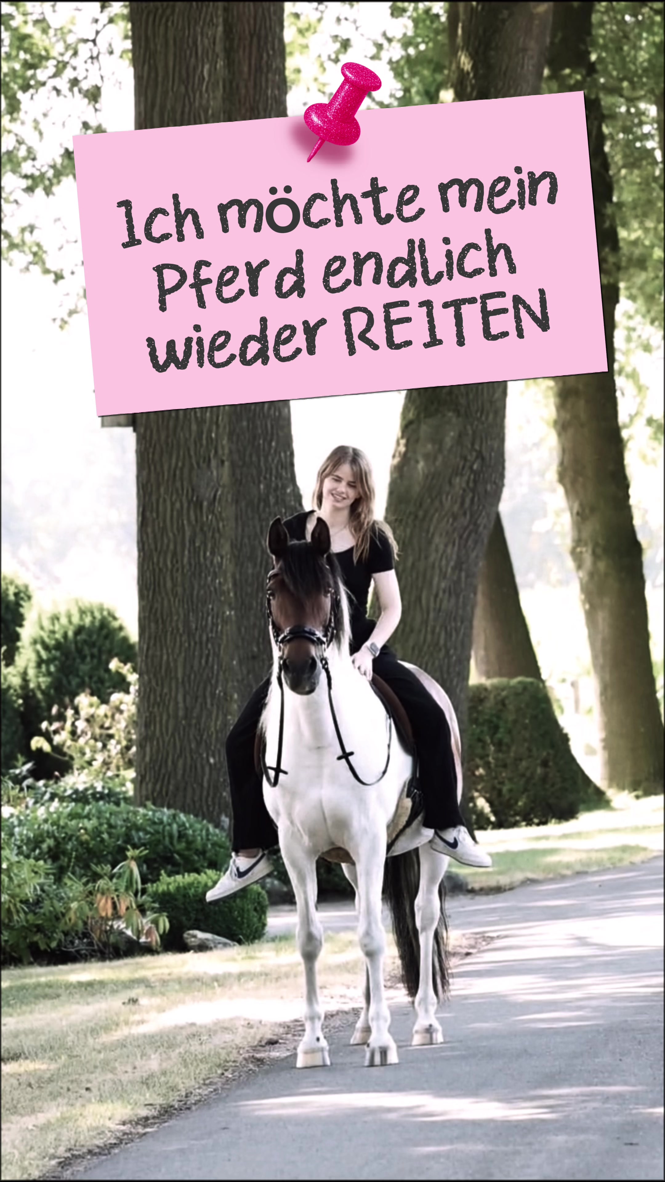 @LENIA&GINGO
