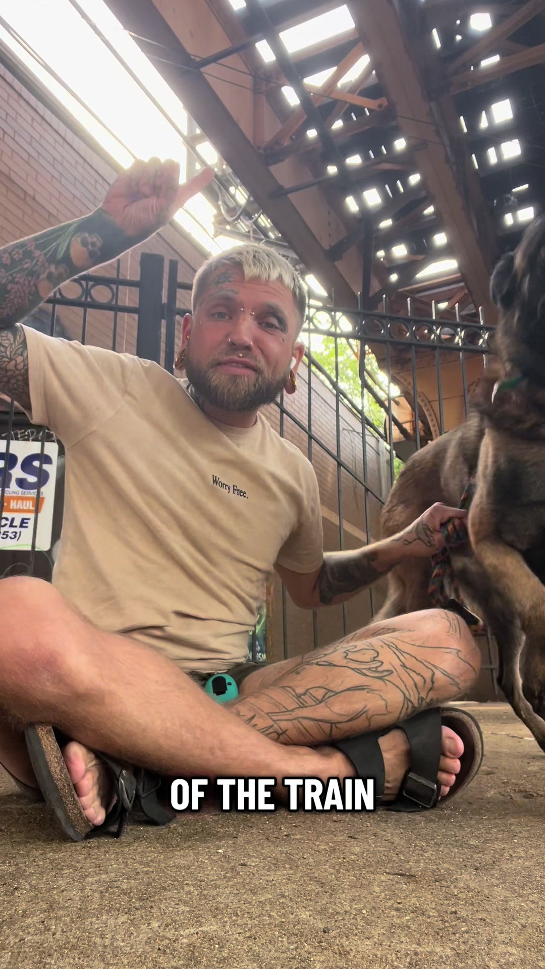 @balancedcanineacademy