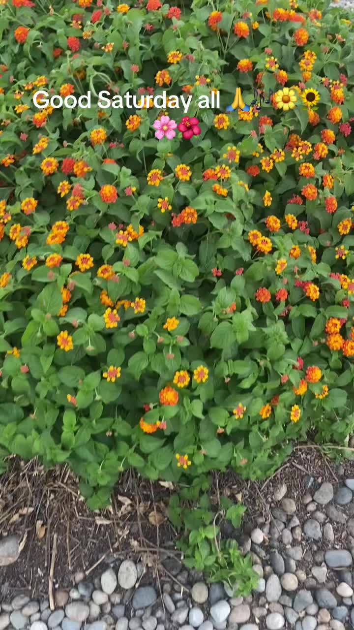 @monicaverdugo105