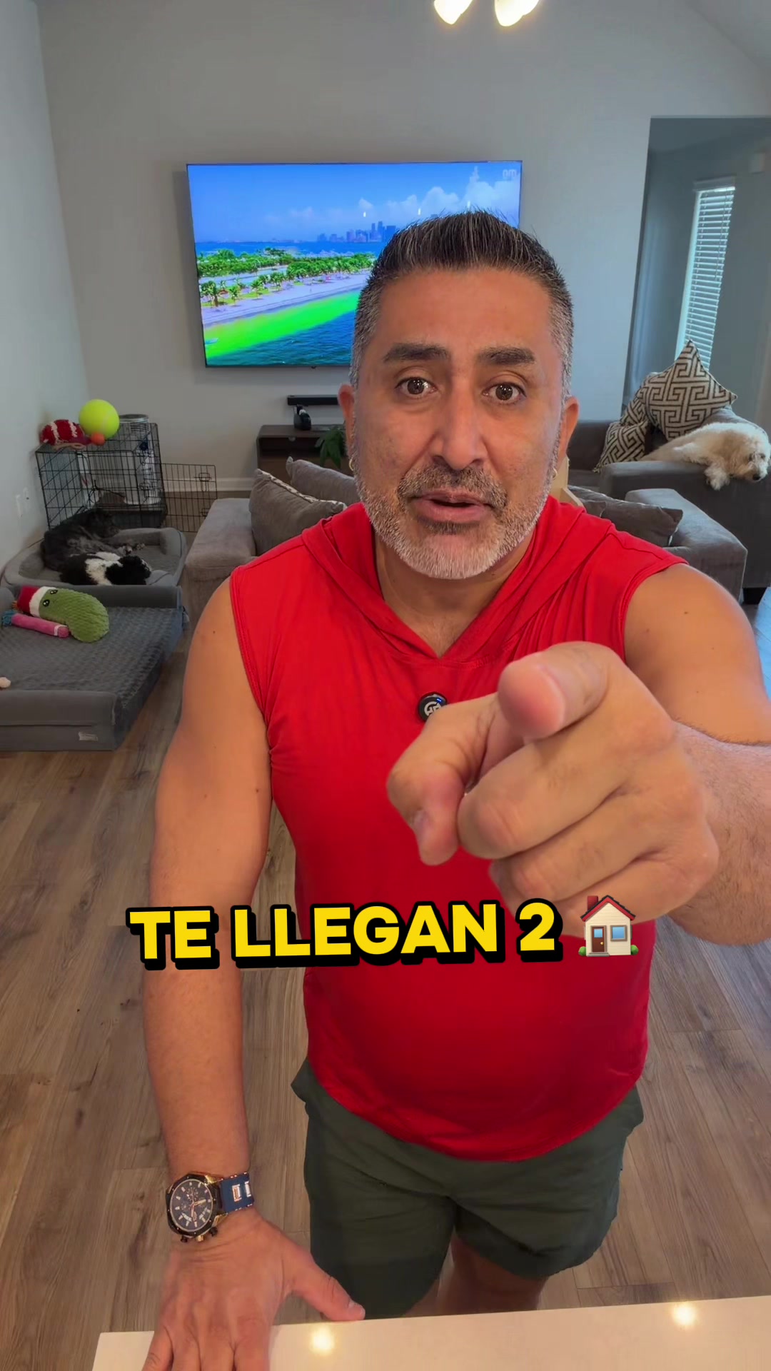 @Loquitostore