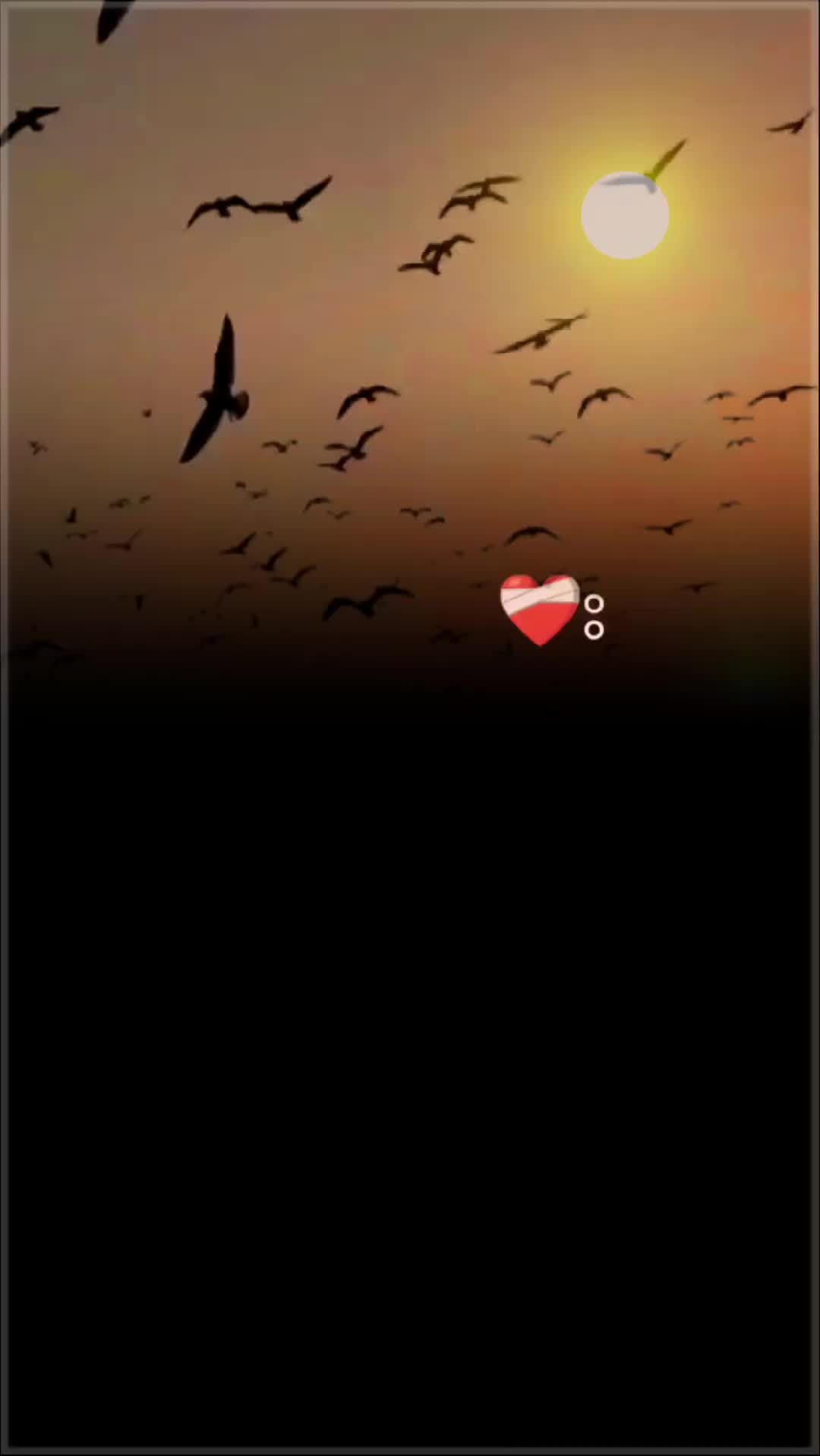 @D Ï Ñ Ê ẞ H ...........❣️