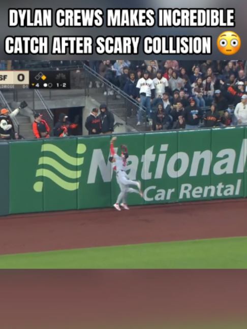 @natsfanatics