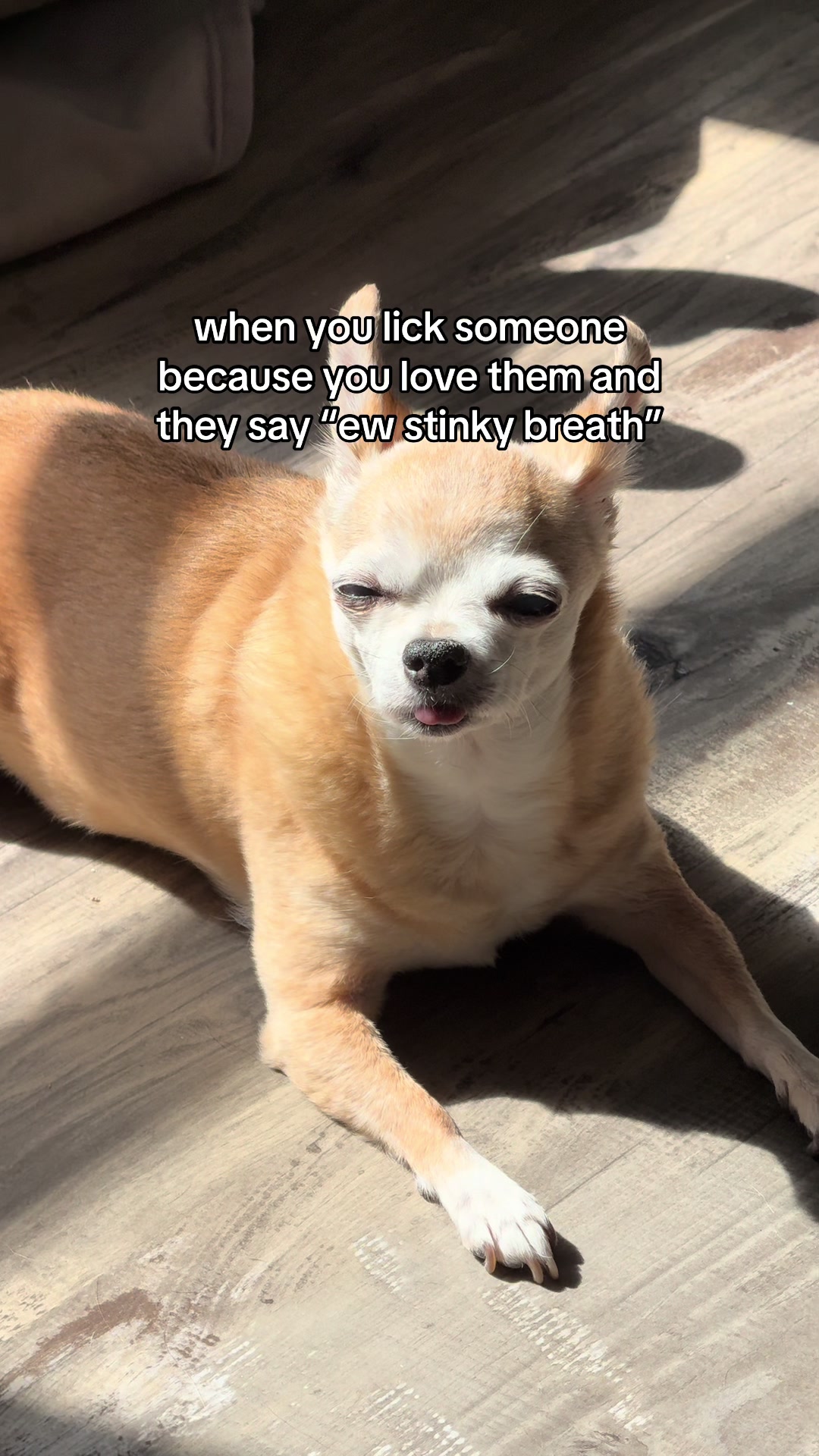 @Reece