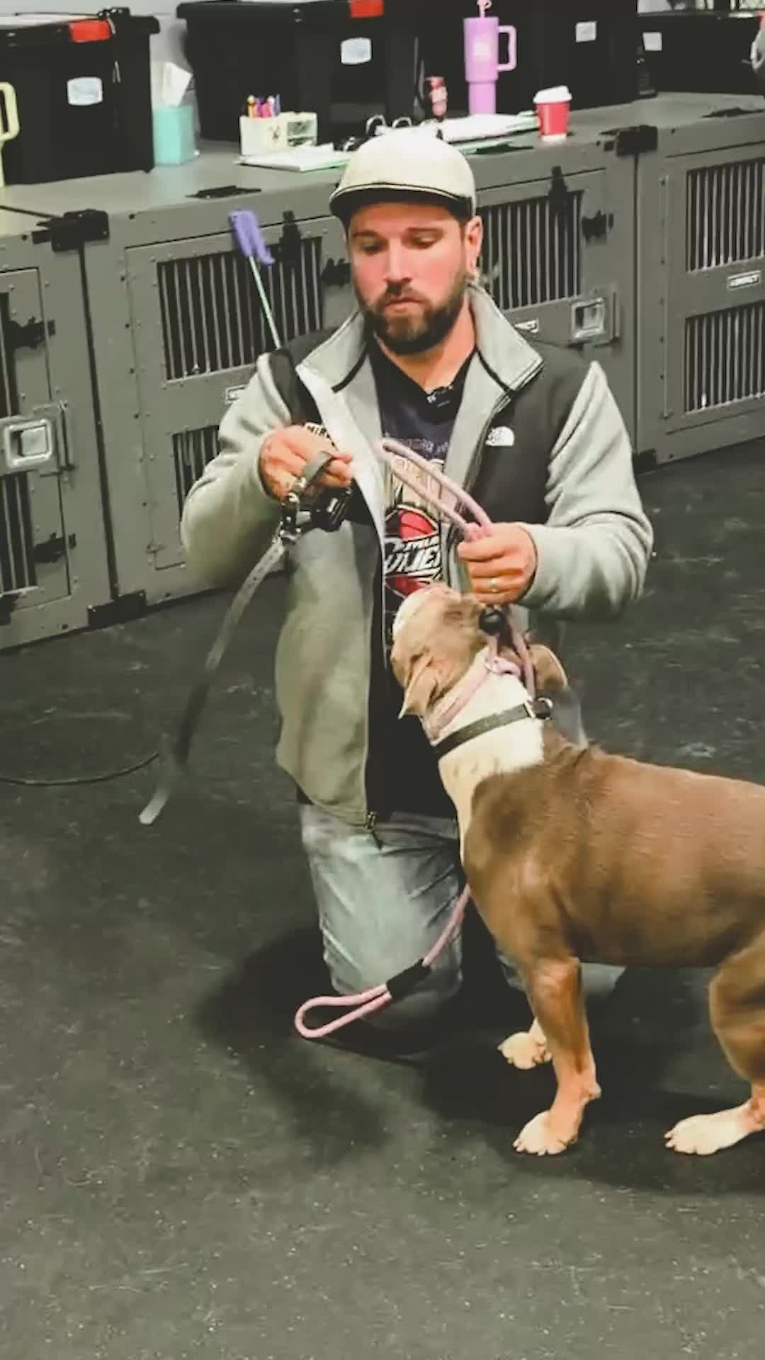@Miracle K9 Training