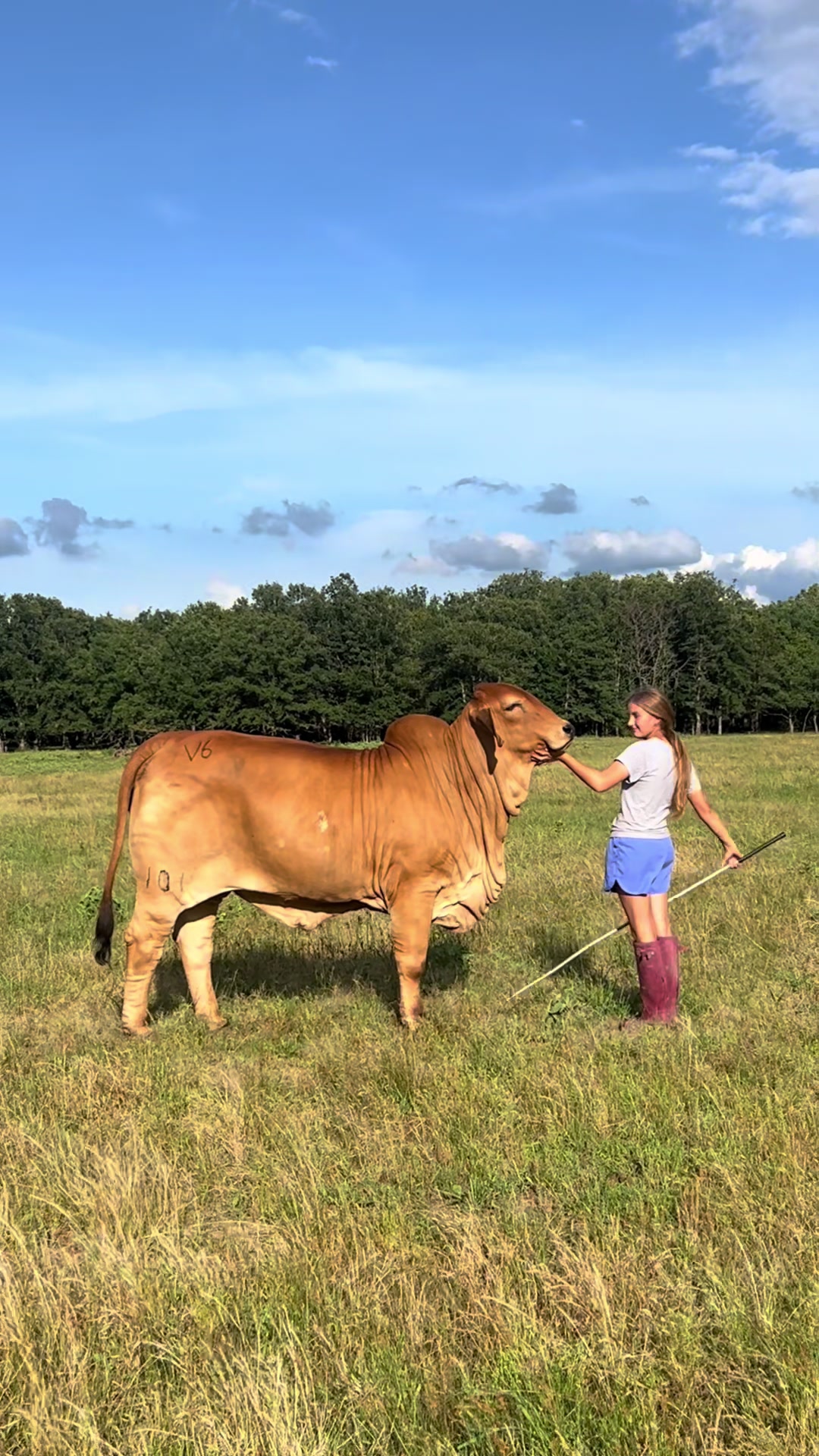 @The V6 Ranch