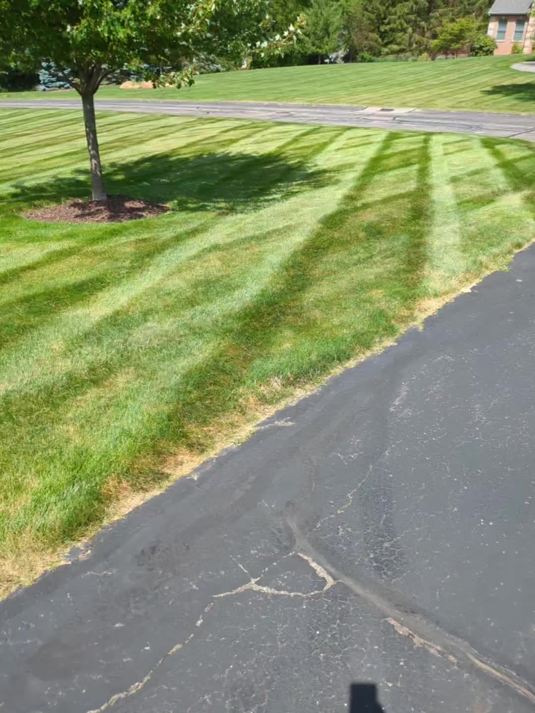 @mulletdingermaster3000