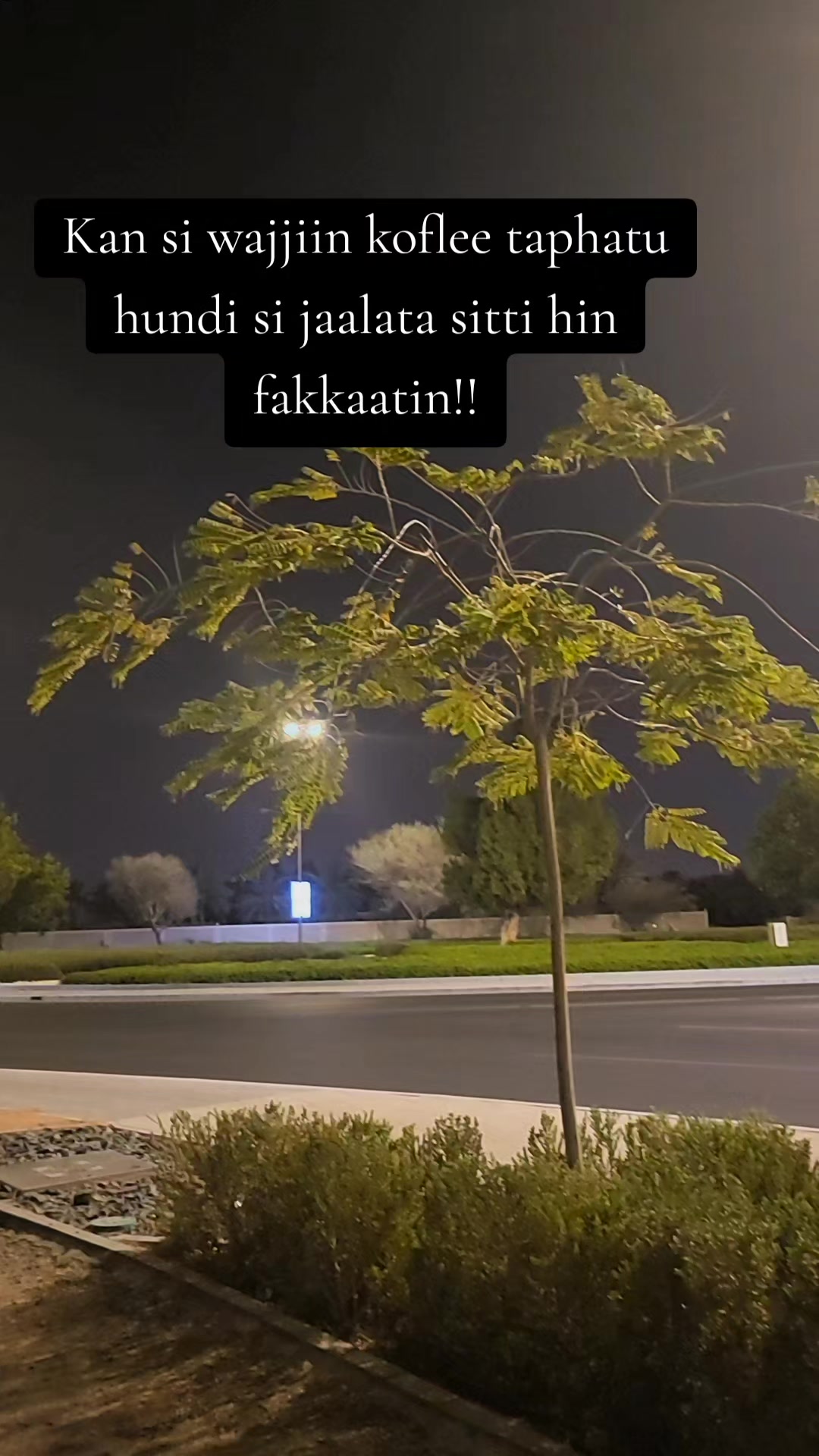@Sulxi🥷