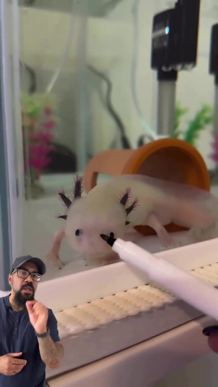 @MarkChrispy