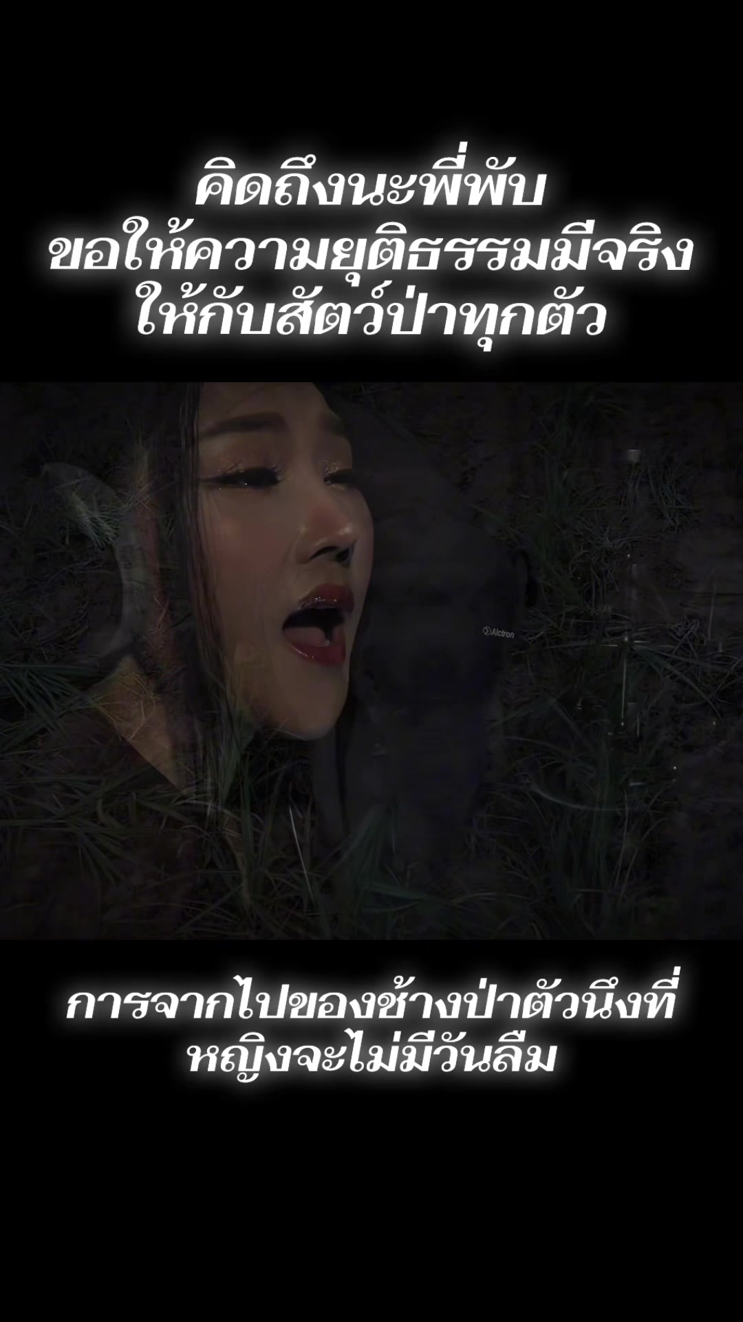 @หญิง ธิติกานต์ Tree Gold BA