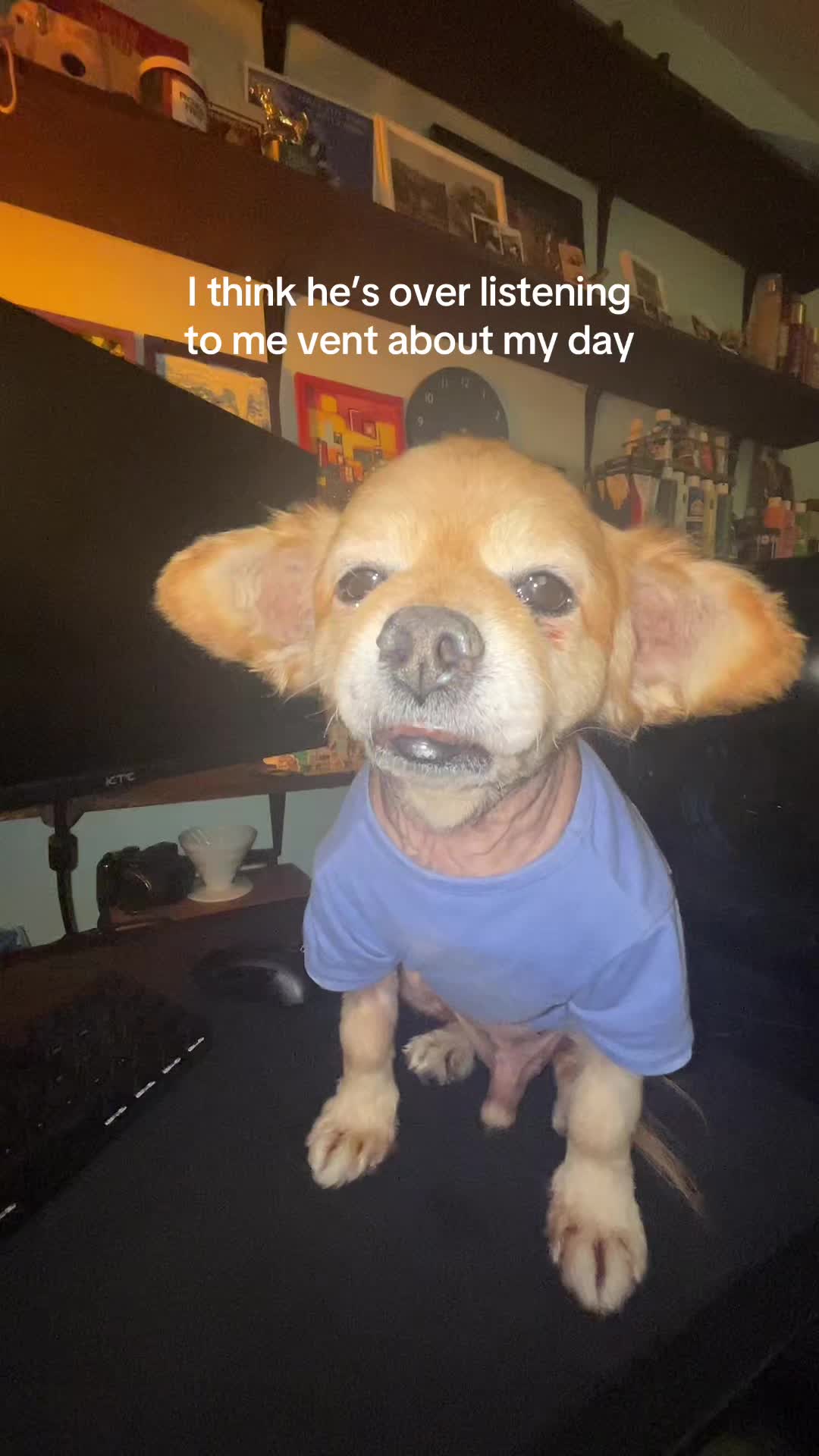@kingpep