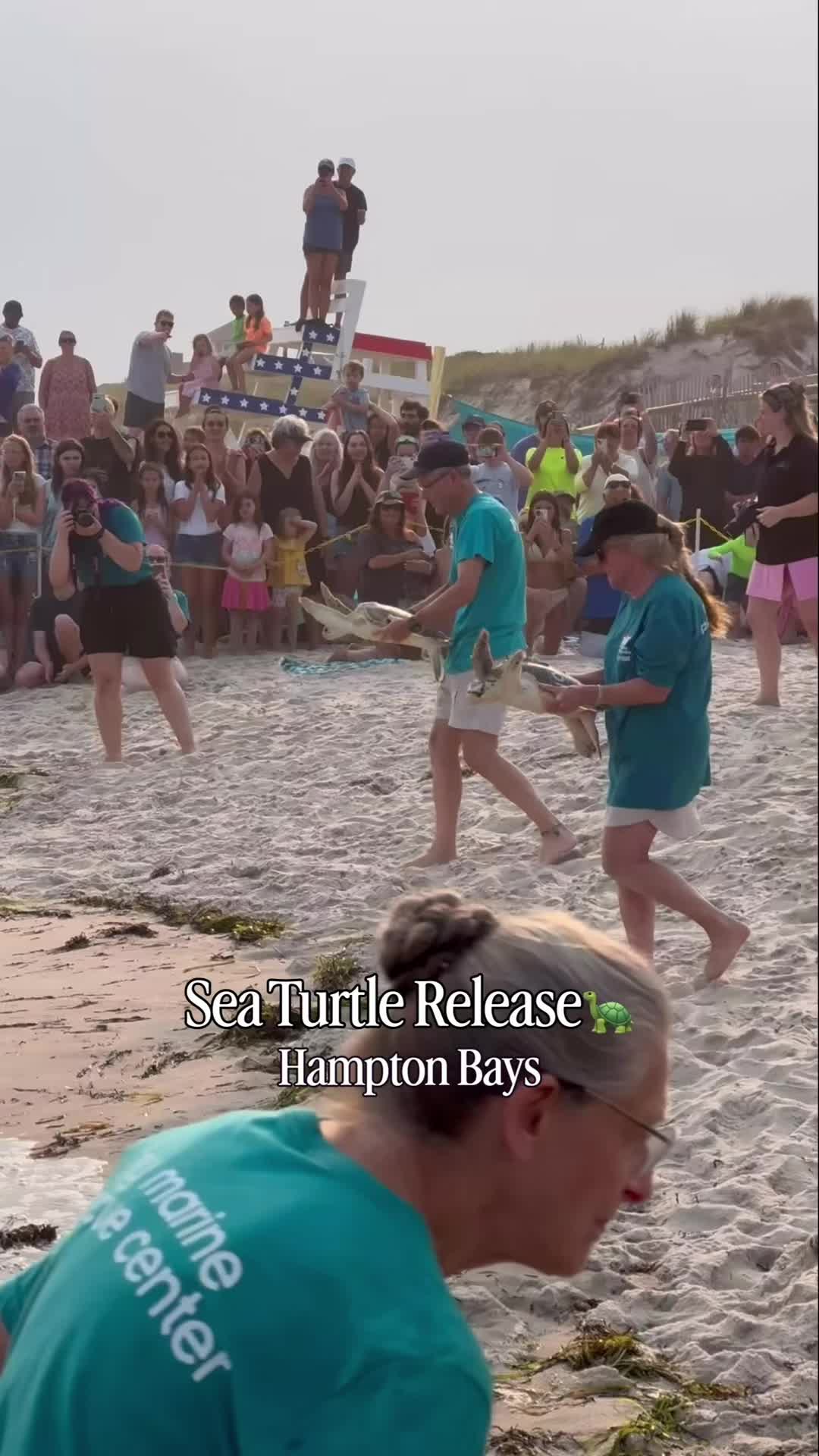 @longislandwiseguy
