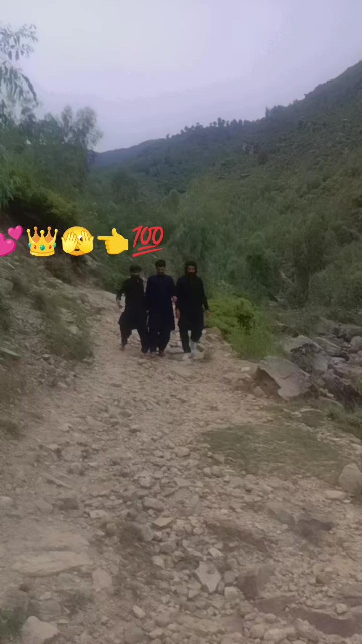 @waseem malang 🌹🌱🌷🌲🌳