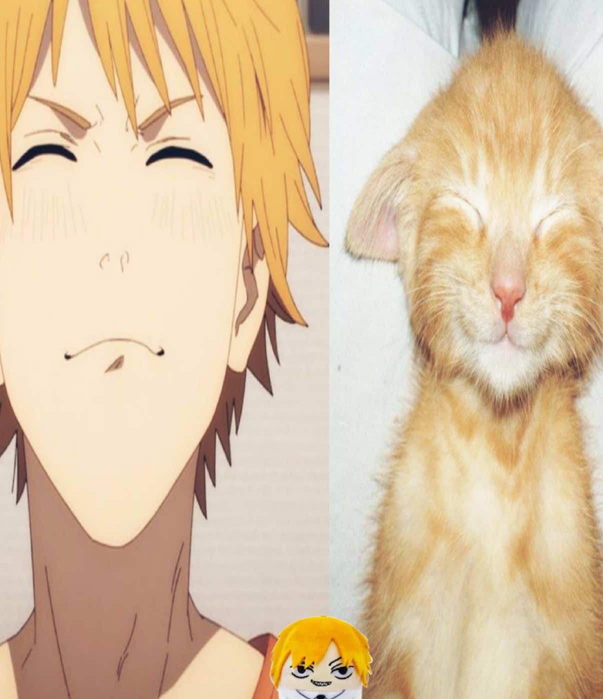 @๊ง๐๐๐ผ๐๐๊ง๐๐ซ๐ฅ
