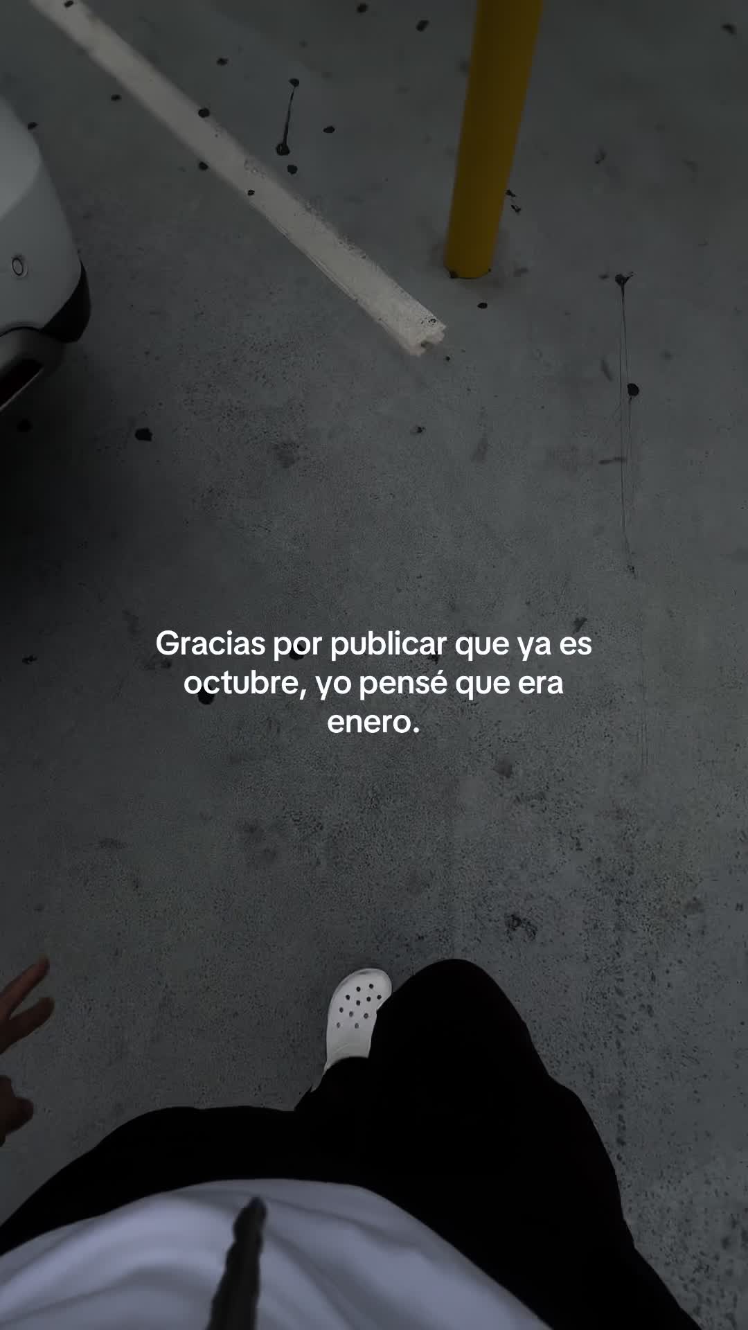 @giavibees