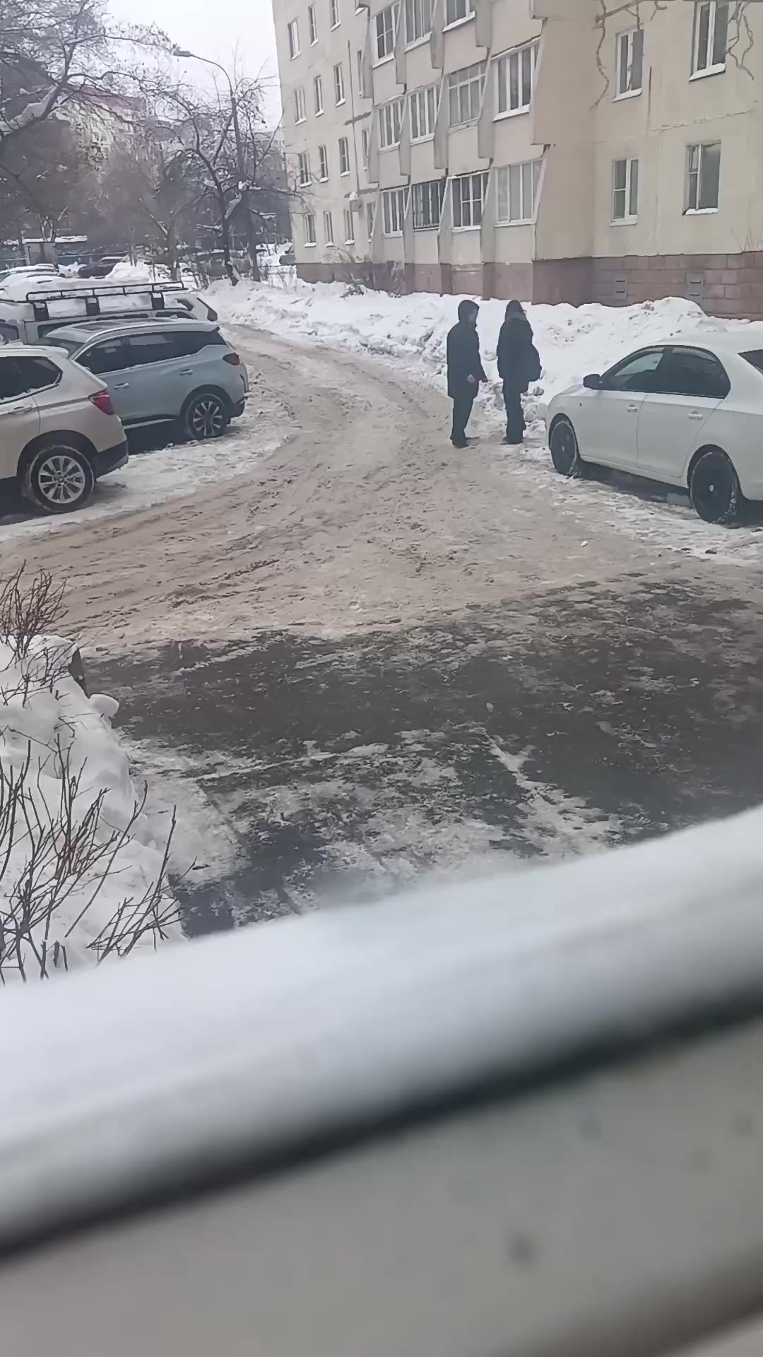 @Vertihvost