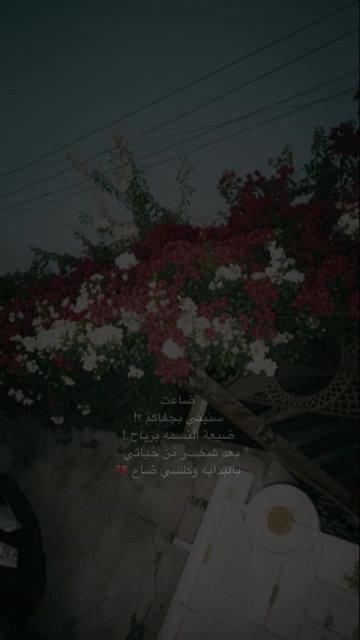@طيࢪهۛ آلسّلف🤍