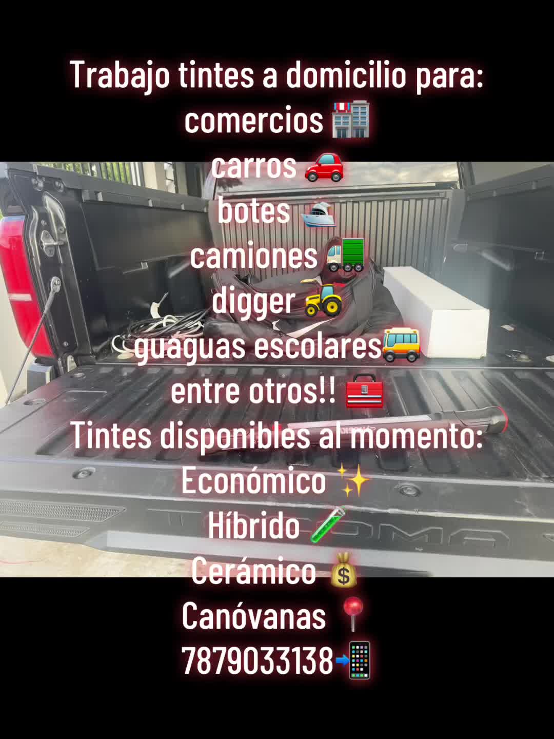 @FrancesTintLab