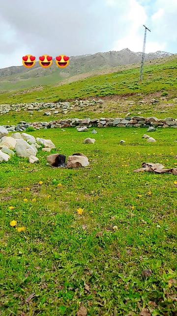 @سیدذادی