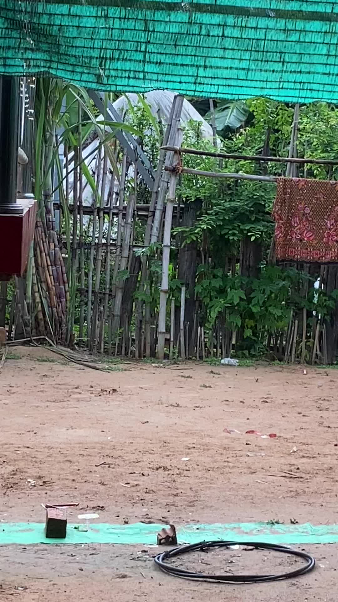 @សុឡាត់ ក្បាល់ខូច🙄