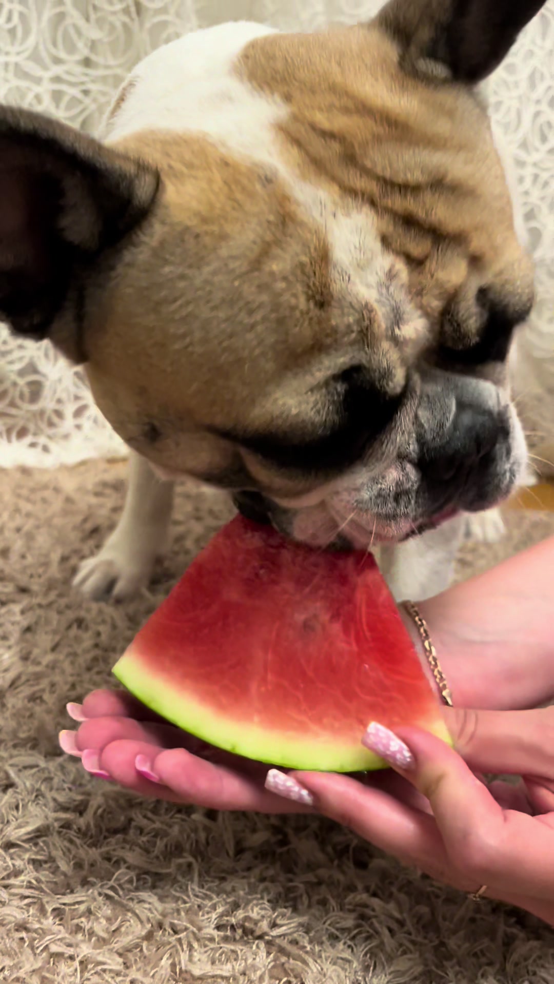 @Ирина Гришина