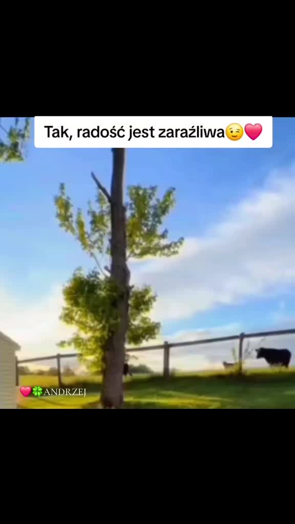@❤️🍀ANDRZEJ