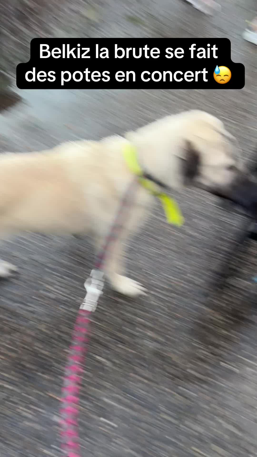 @Purekangal