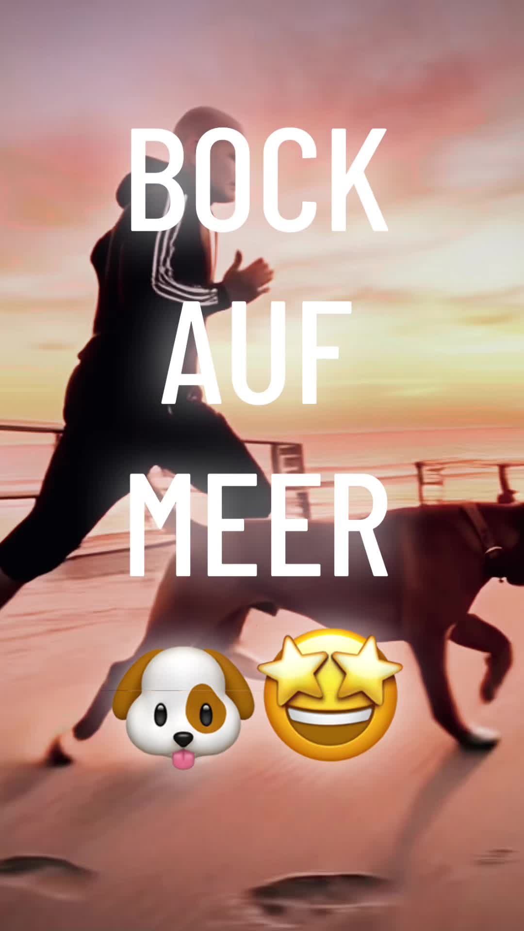 @_𝙱𝙾𝚇𝙴𝚁&ensp;_𝙹𝙲𝙺_