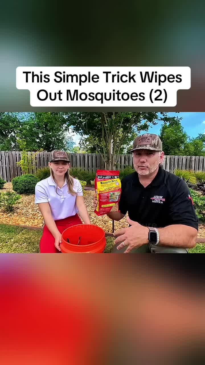 @Animals in nature