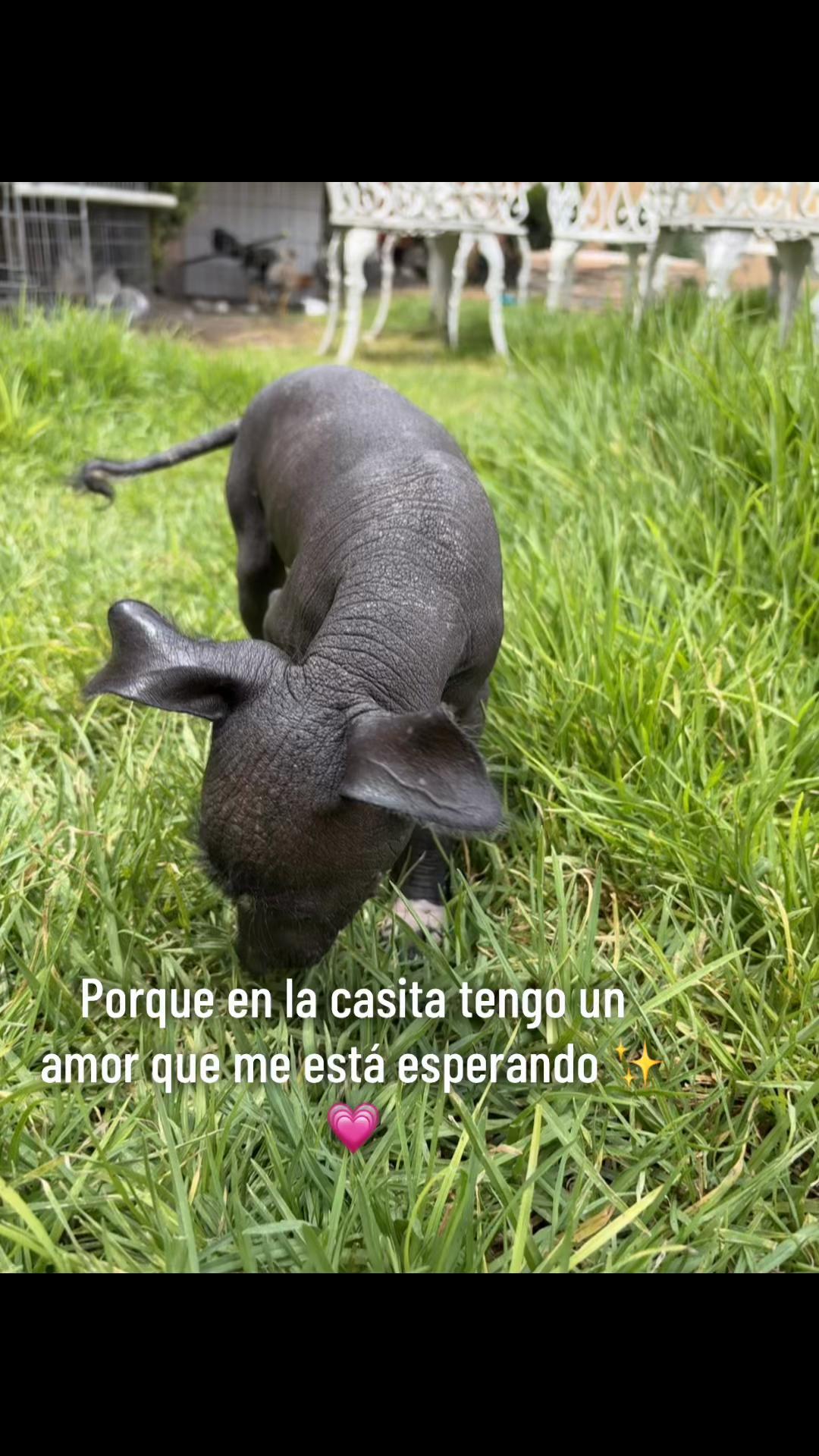@Liz sanchez